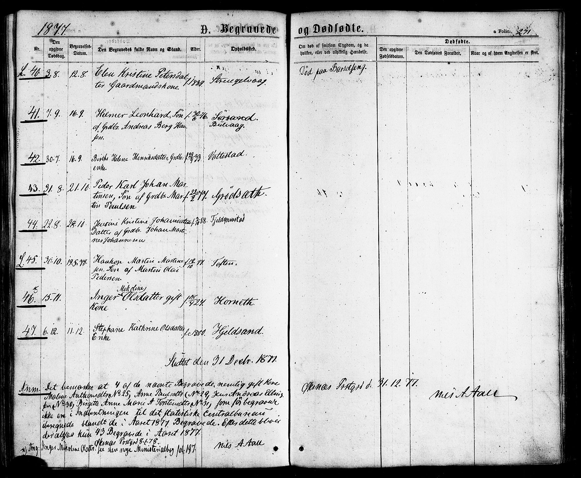 Ministerialprotokoller, klokkerbøker og fødselsregistre - Nordland, AV/SAT-A-1459/893/L1334: Ministerialbok nr. 893A07, 1867-1877, s. 271