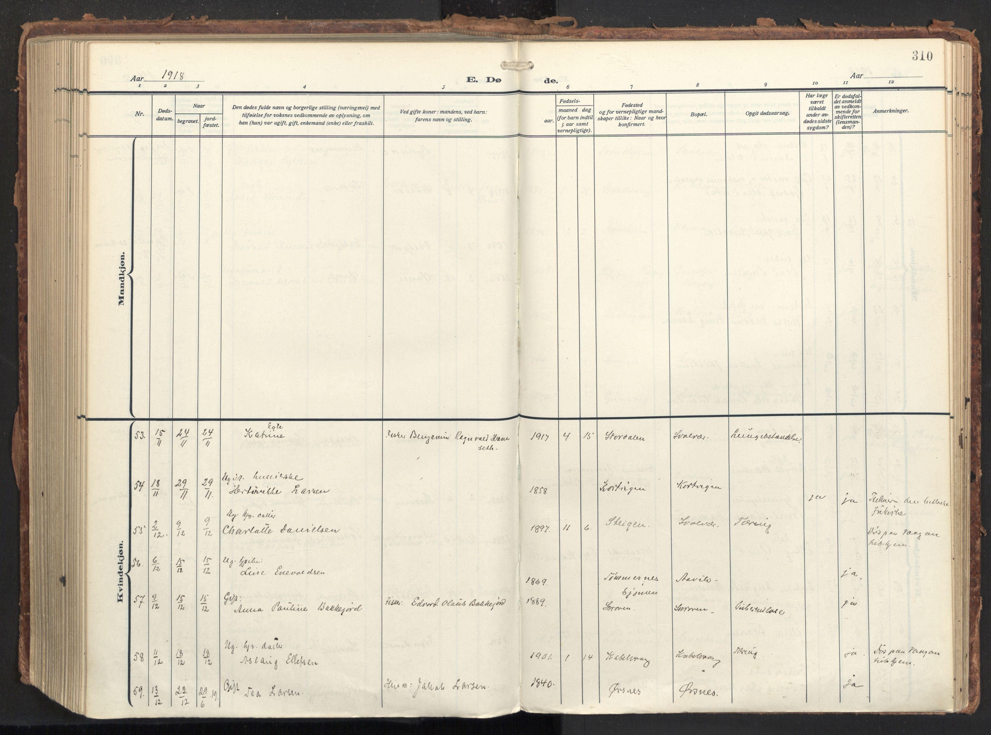 Ministerialprotokoller, klokkerbøker og fødselsregistre - Nordland, AV/SAT-A-1459/874/L1064: Ministerialbok nr. 874A08, 1915-1926, s. 310