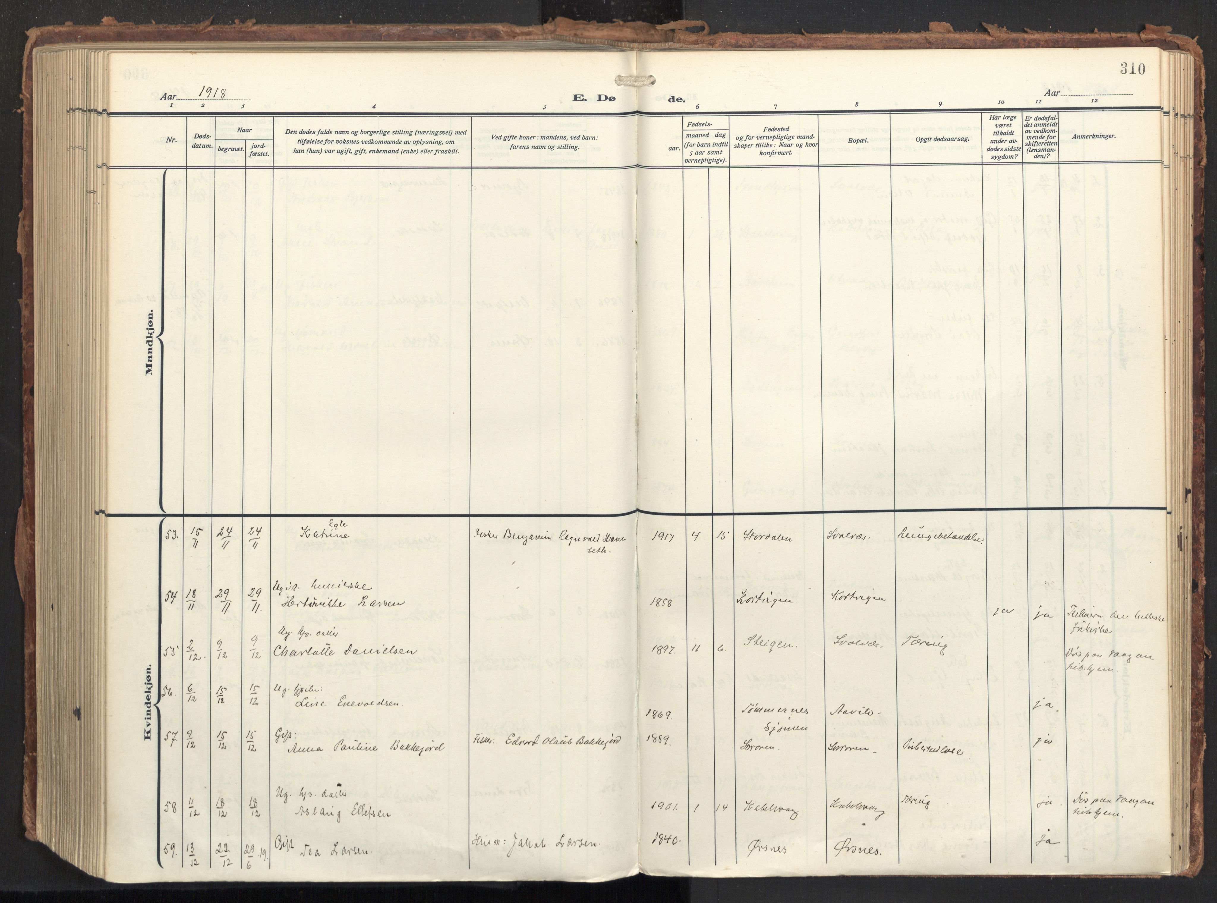 Ministerialprotokoller, klokkerbøker og fødselsregistre - Nordland, SAT/A-1459/874/L1064: Ministerialbok nr. 874A08, 1915-1926, s. 310