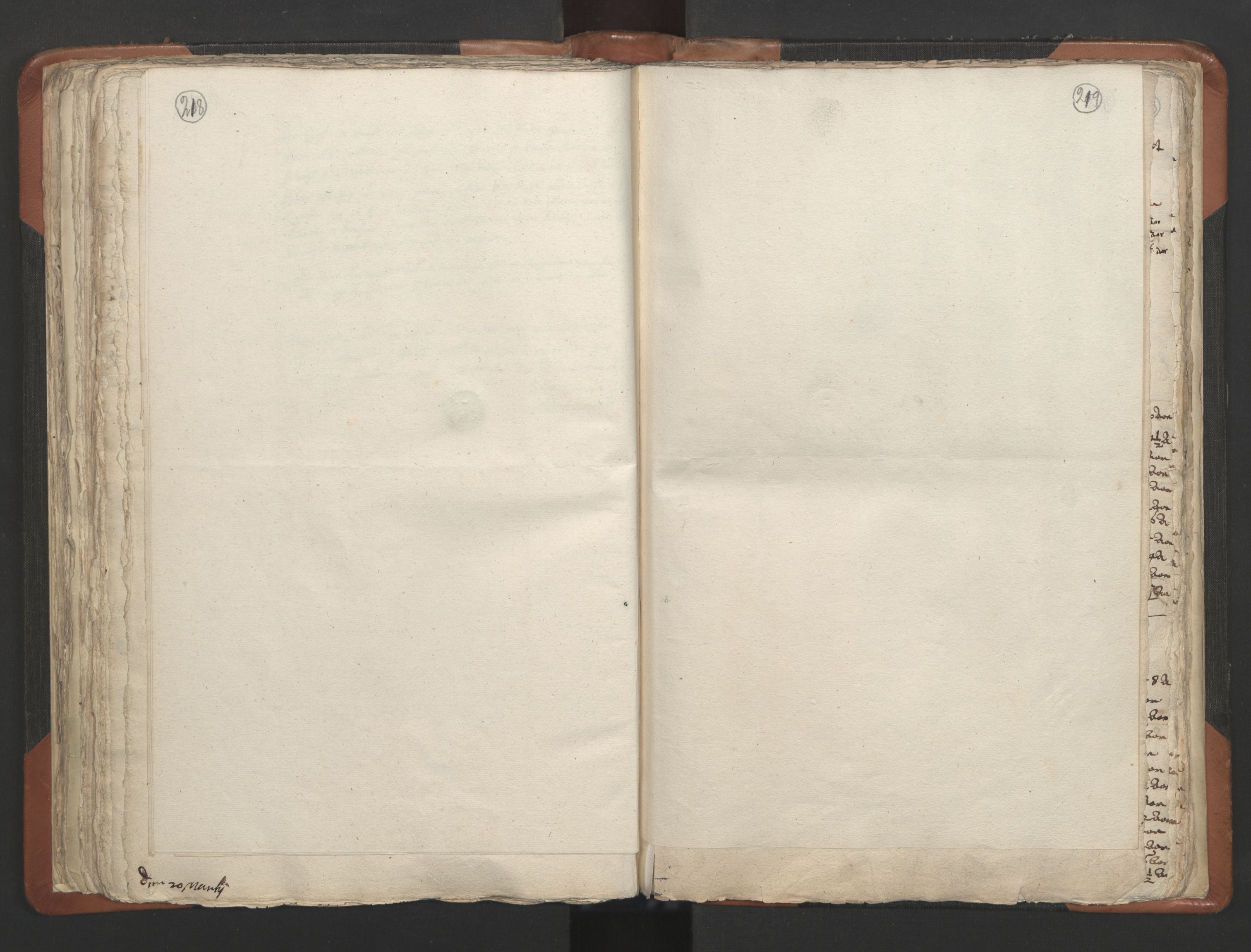 RA, Sogneprestenes manntall 1664-1666, nr. 13: Nedenes prosti, 1664-1666, s. 218-219