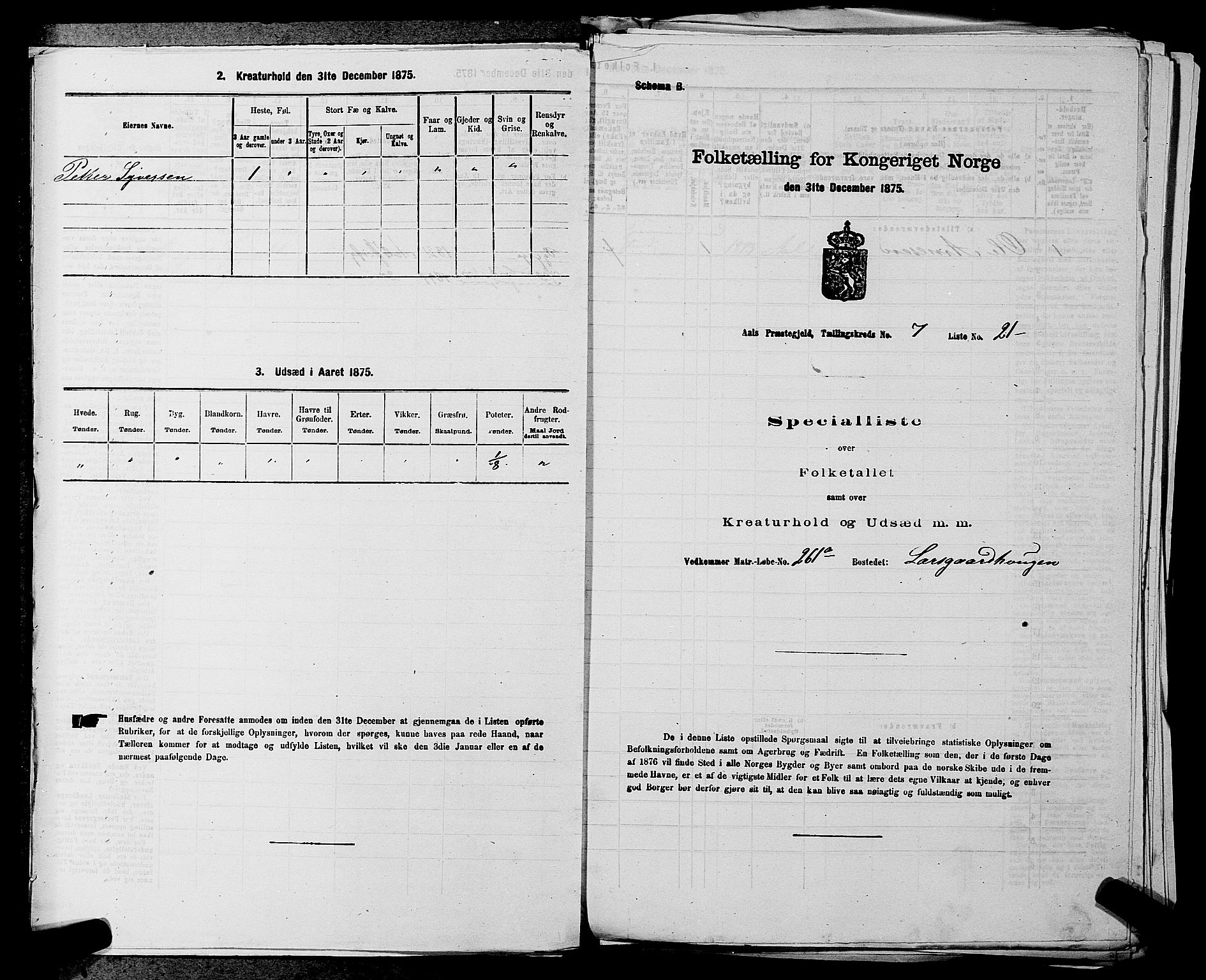 SAKO, Folketelling 1875 for 0619P Ål prestegjeld, 1875, s. 876