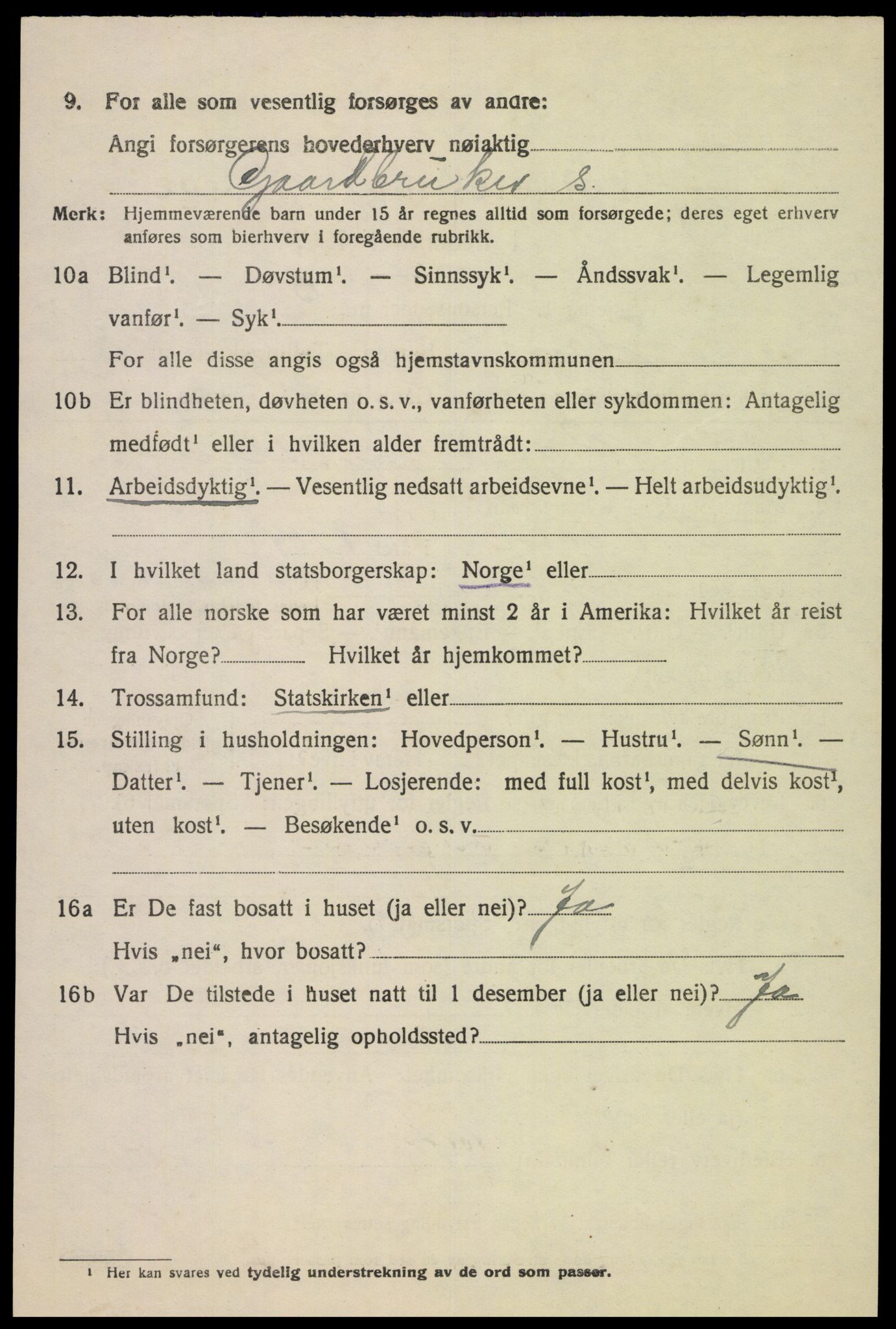 SAK, Folketelling 1920 for 1036 Fjotland herred, 1920, s. 2017