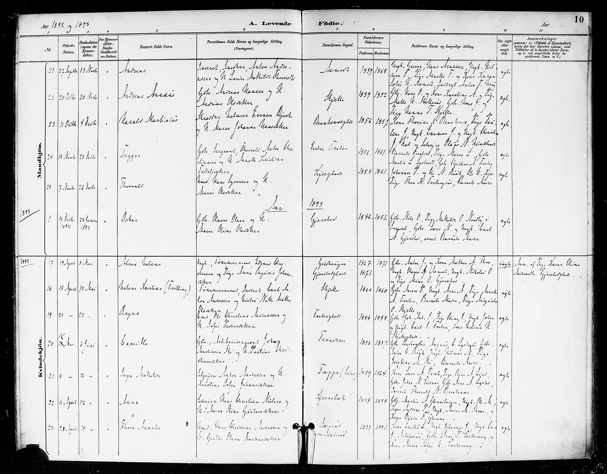 Skiptvet prestekontor Kirkebøker, AV/SAO-A-20009/F/Fa/L0010: Ministerialbok nr. 10, 1890-1900, s. 10