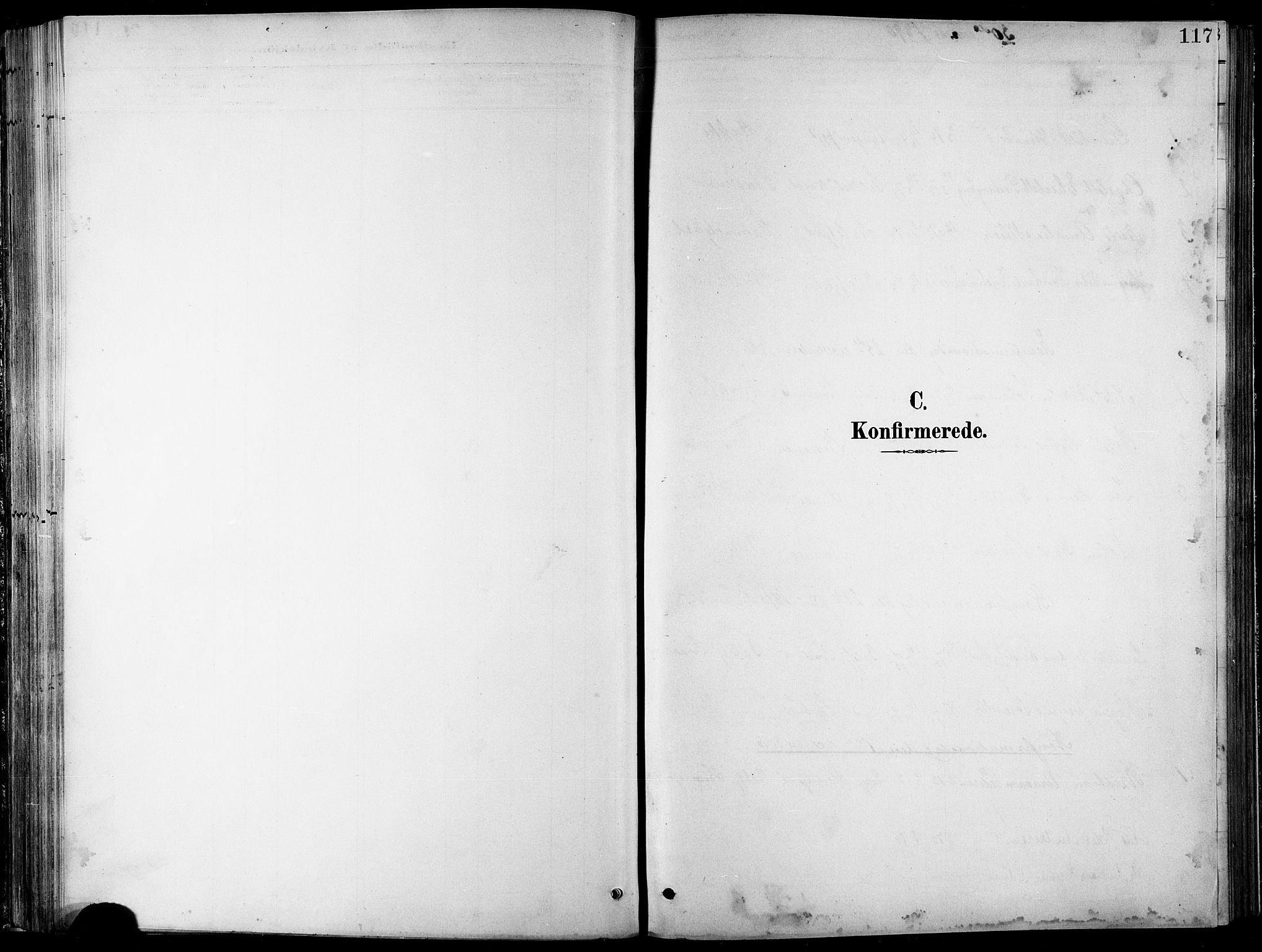 Balsfjord sokneprestembete, SATØ/S-1303/G/Ga/L0008klokker: Klokkerbok nr. 8, 1890-1906, s. 117
