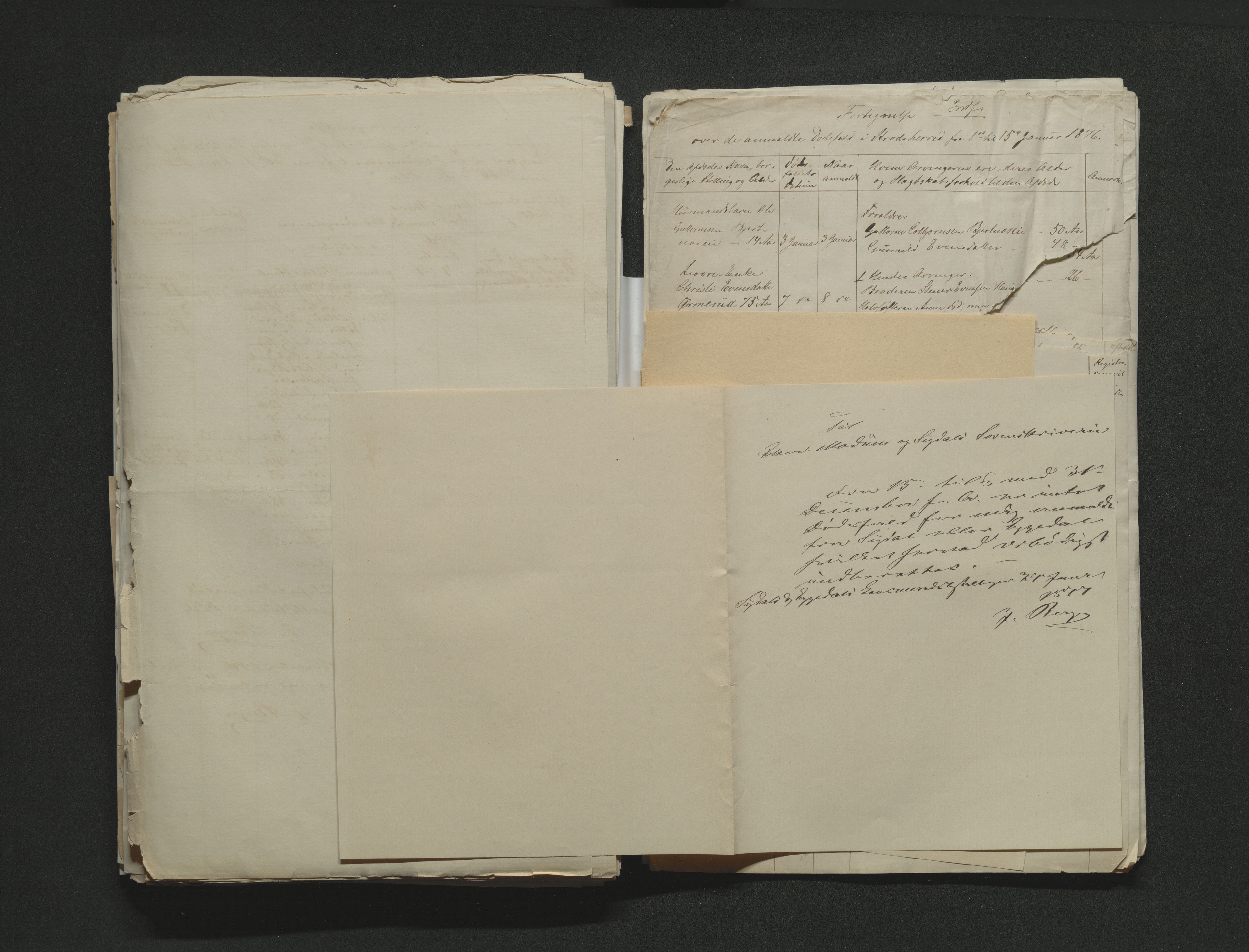 Eiker, Modum og Sigdal sorenskriveri, AV/SAKO-A-123/H/Ha/Hab/L0014: Dødsfallsmeldinger, 1874-1877, s. 501