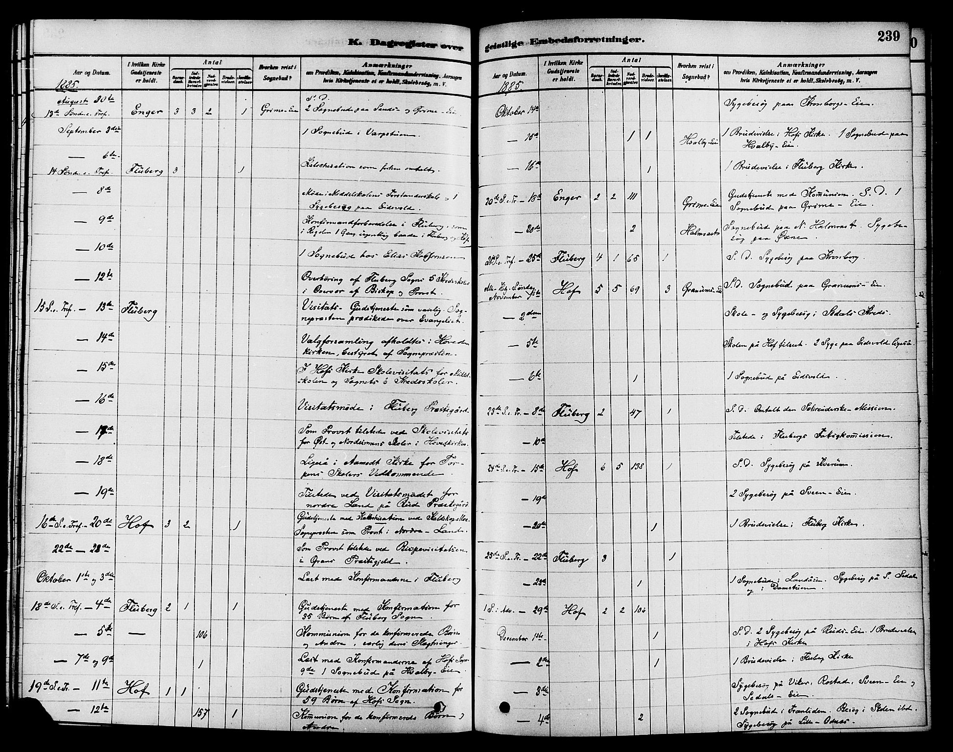 Søndre Land prestekontor, AV/SAH-PREST-122/K/L0002: Ministerialbok nr. 2, 1878-1894, s. 239