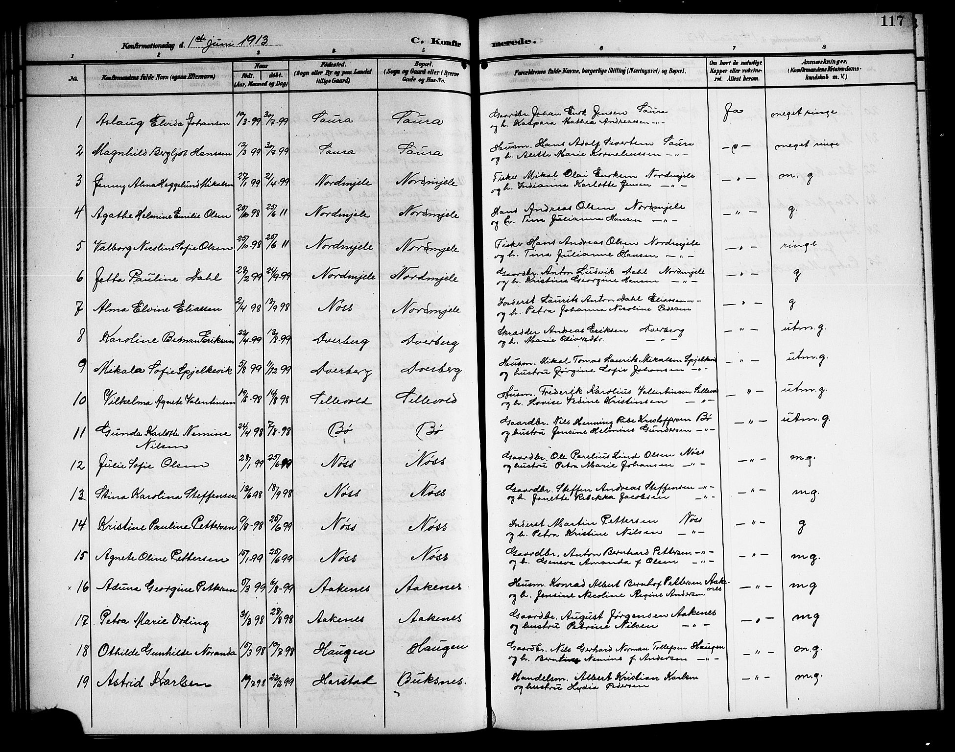 Ministerialprotokoller, klokkerbøker og fødselsregistre - Nordland, SAT/A-1459/897/L1414: Klokkerbok nr. 897C04, 1904-1915, s. 117