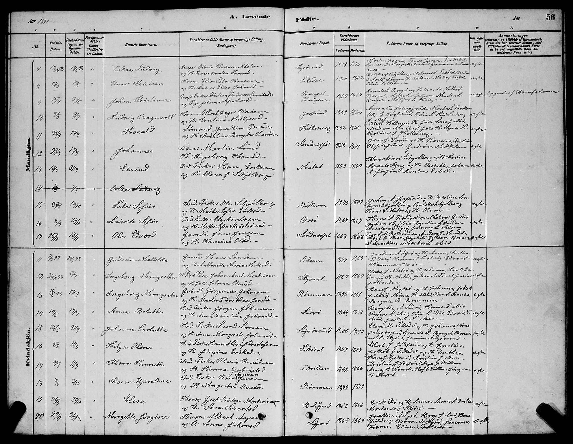 Ministerialprotokoller, klokkerbøker og fødselsregistre - Sør-Trøndelag, SAT/A-1456/654/L0665: Klokkerbok nr. 654C01, 1879-1901, s. 56