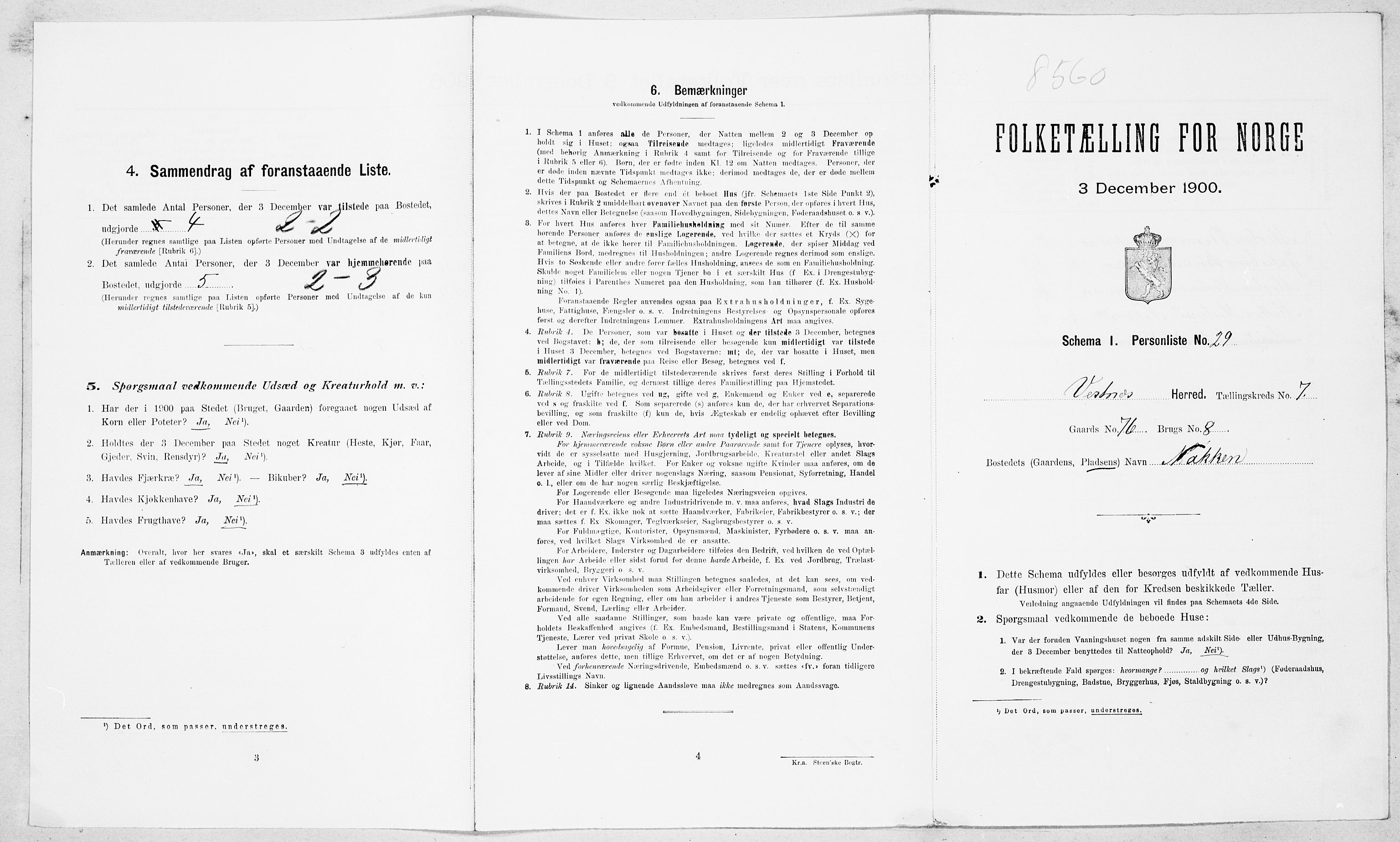 SAT, Folketelling 1900 for 1535 Vestnes herred, 1900, s. 733