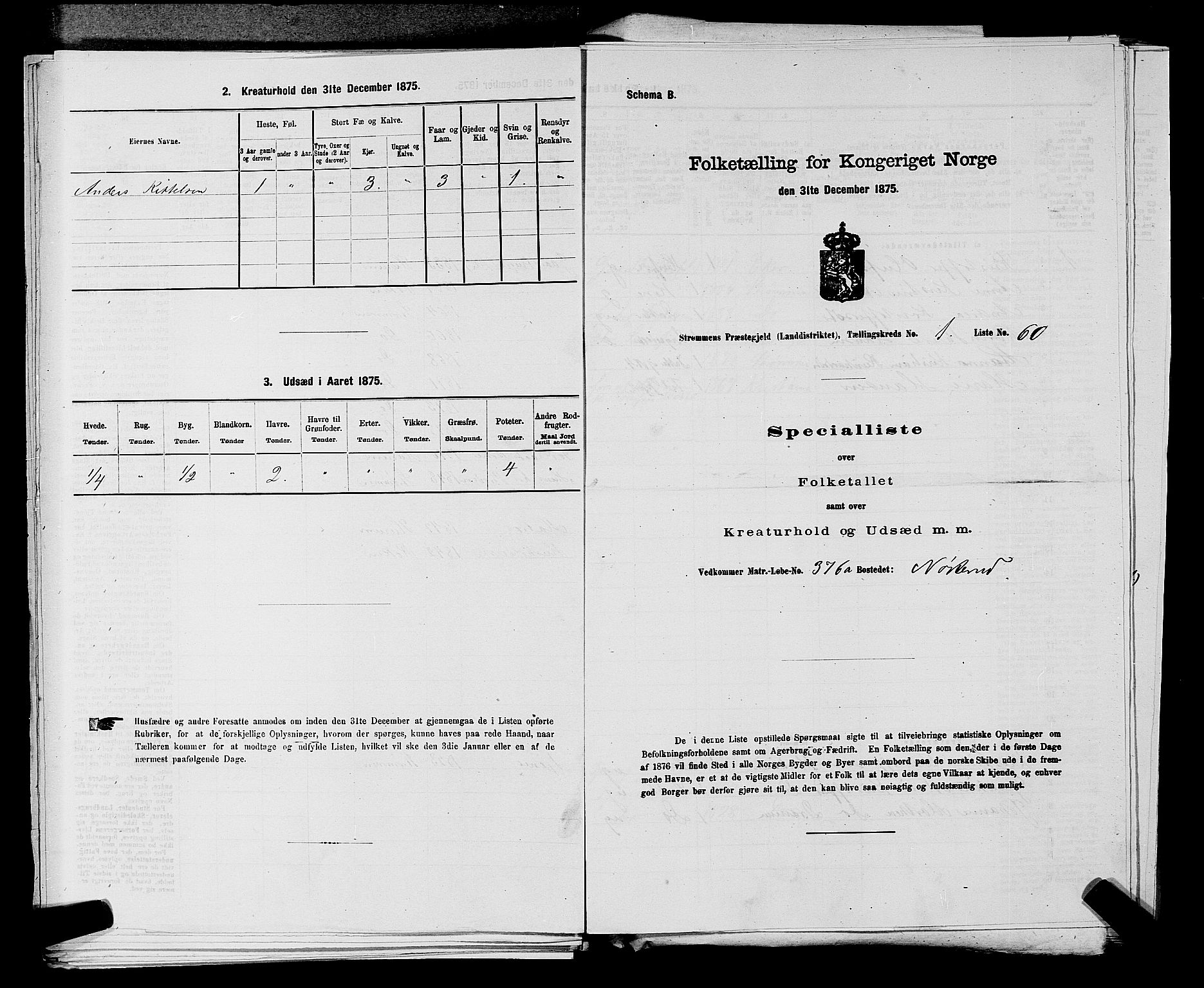 SAKO, Folketelling 1875 for 0711L Strømm prestegjeld, Strømm sokn, 1875, s. 156