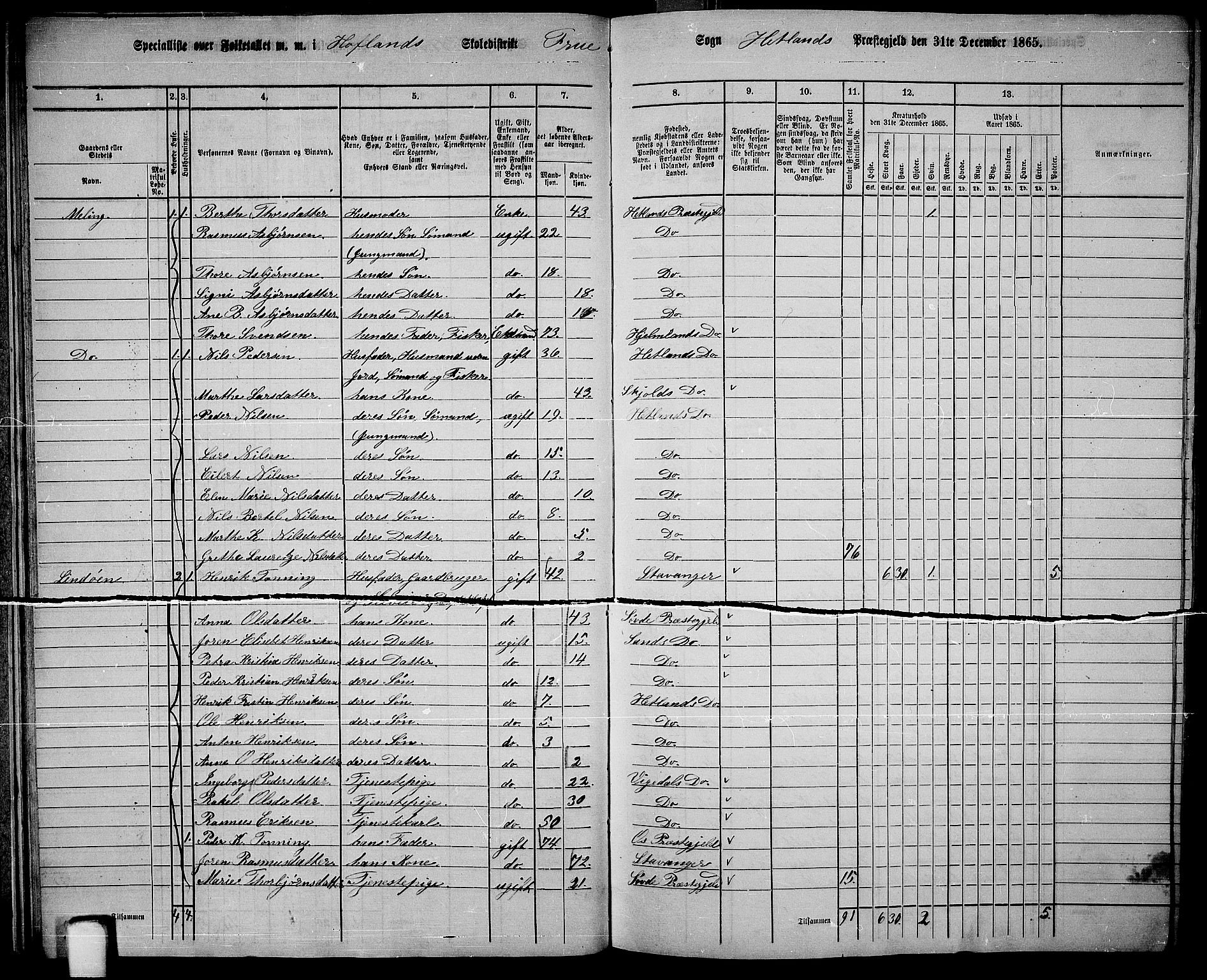 RA, Folketelling 1865 for 1126P Hetland prestegjeld, 1865, s. 24