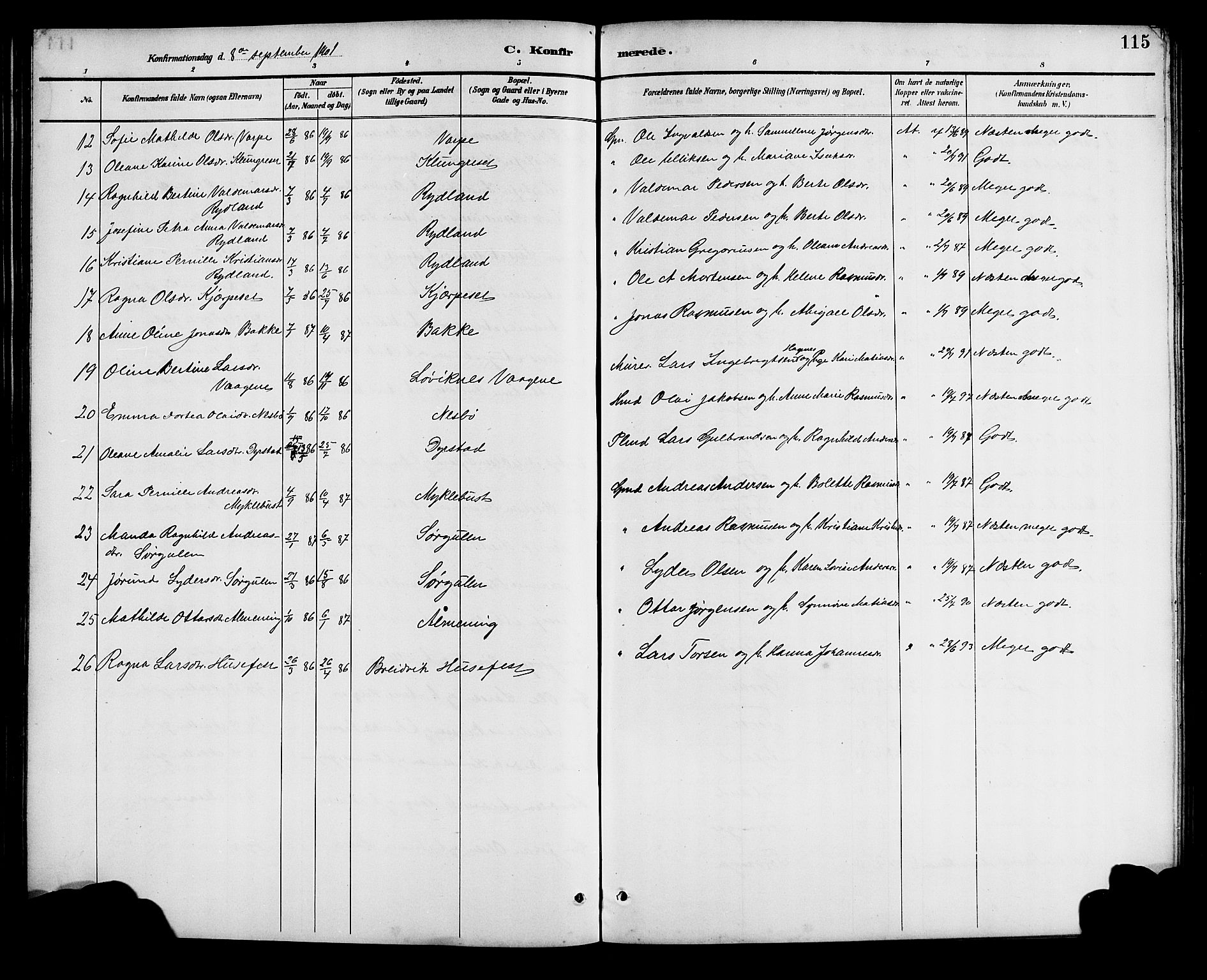 Bremanger sokneprestembete, AV/SAB-A-82201/H/Hab/Haba/L0003: Klokkerbok nr. A 3, 1890-1908, s. 115