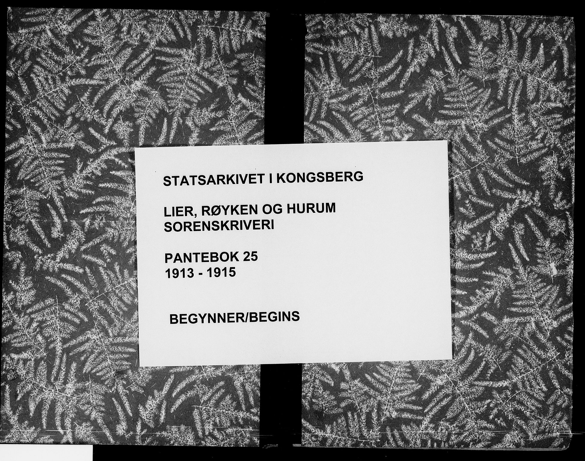Lier, Røyken og Hurum sorenskriveri, SAKO/A-89/G/Ga/Gab/L0025: Pantebok nr. 25, 1913-1915