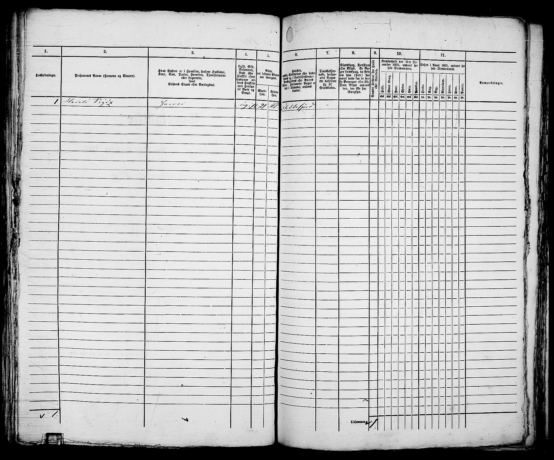 RA, Folketelling 1865 for 0104B Moss prestegjeld, Moss kjøpstad, 1865, s. 293