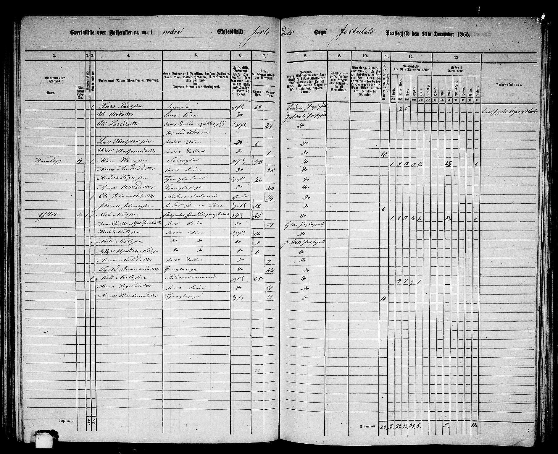 RA, Folketelling 1865 for 1427P Jostedal prestegjeld, 1865, s. 9