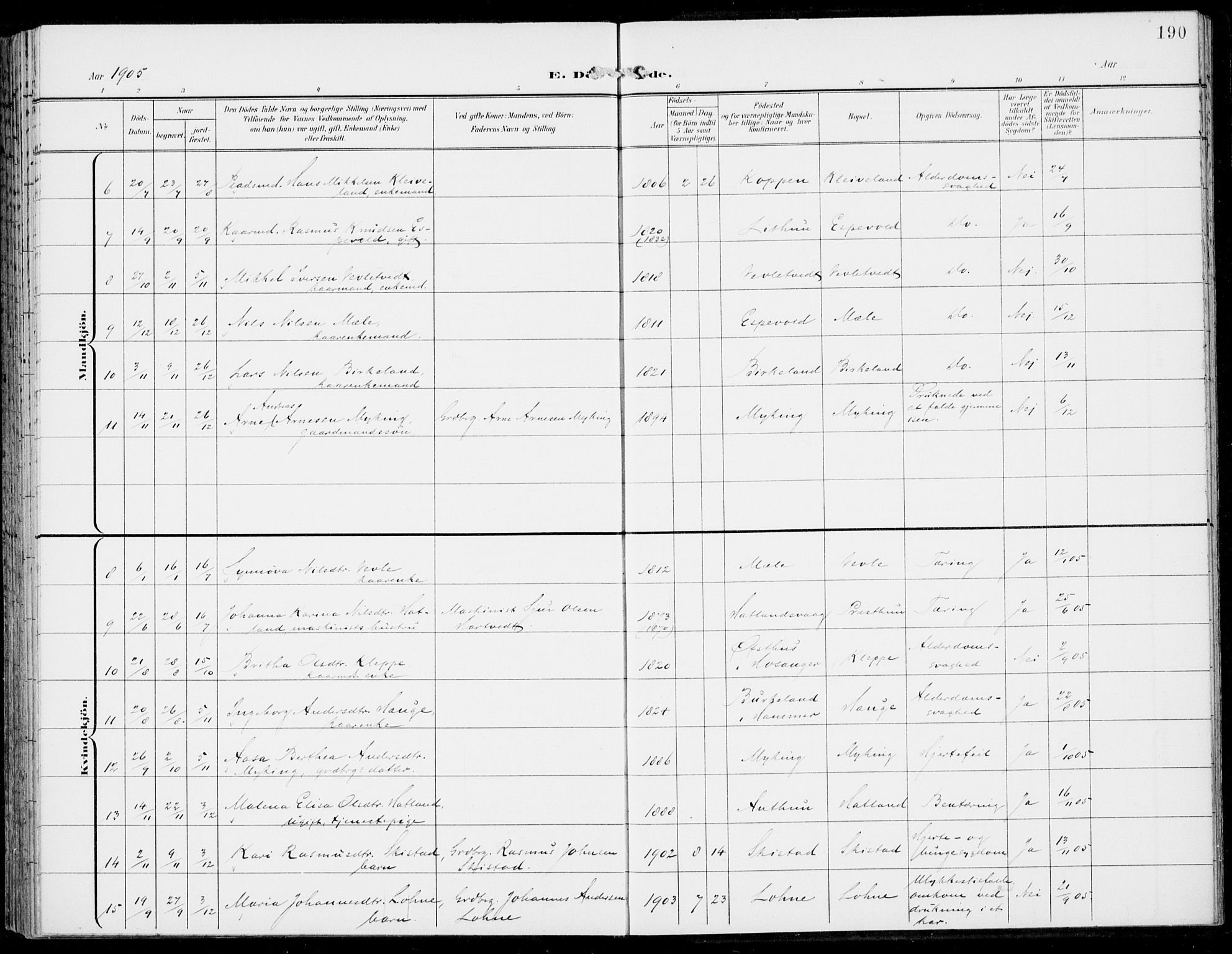 Haus sokneprestembete, AV/SAB-A-75601/H/Haa: Ministerialbok nr. C  2, 1900-1915, s. 190