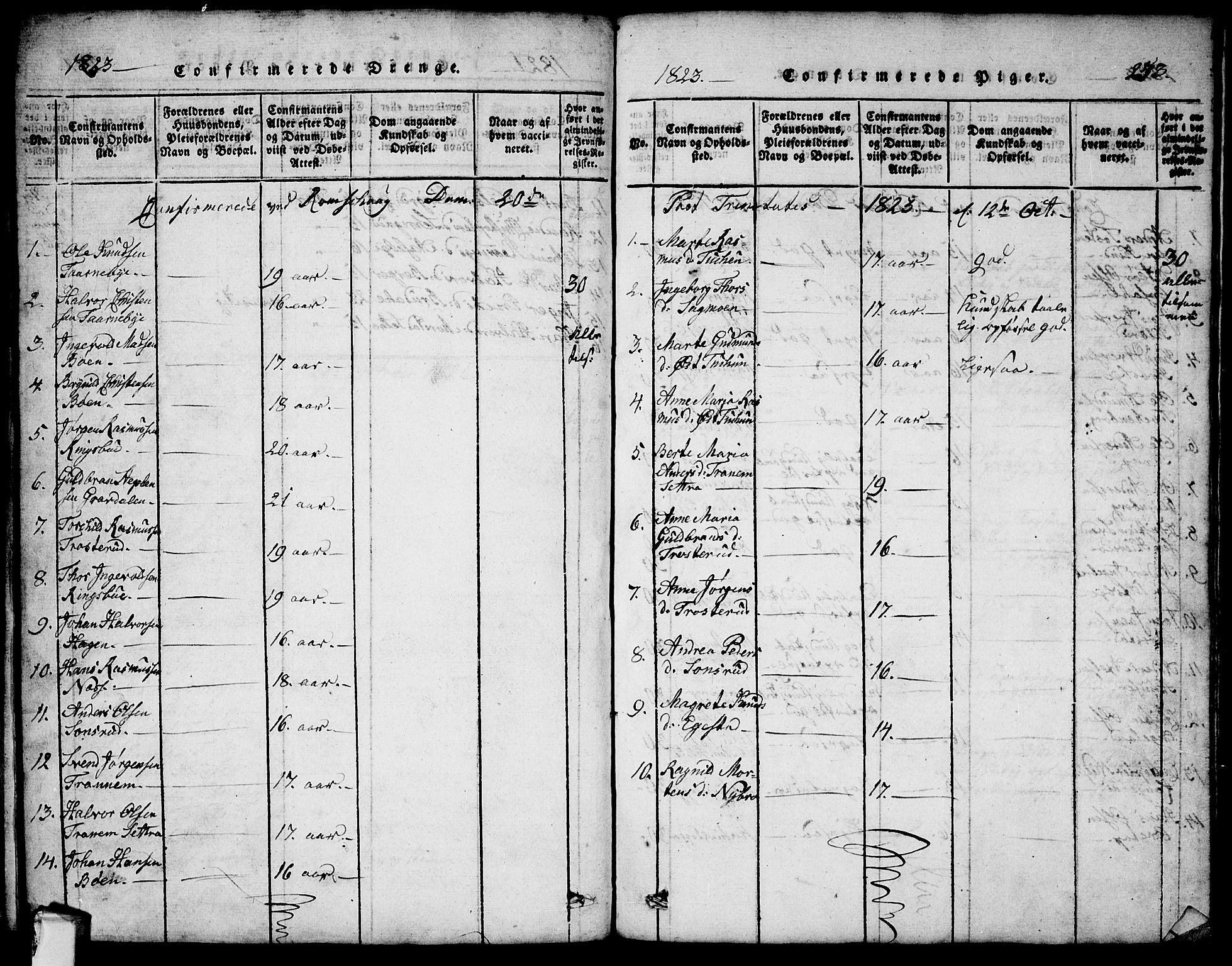 Rødenes prestekontor Kirkebøker, SAO/A-2005/G/Ga/L0001: Klokkerbok nr.  I 1, 1814-1841, s. 253