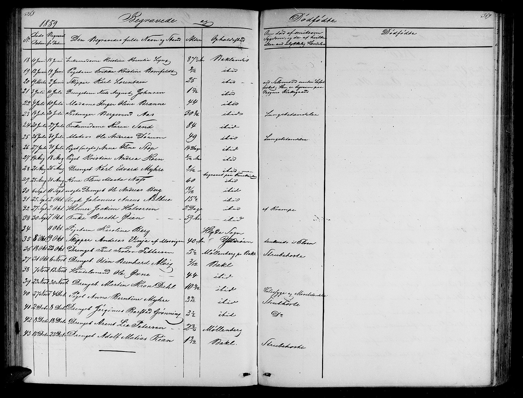 Ministerialprotokoller, klokkerbøker og fødselsregistre - Sør-Trøndelag, SAT/A-1456/604/L0219: Klokkerbok nr. 604C02, 1851-1869, s. 348-349