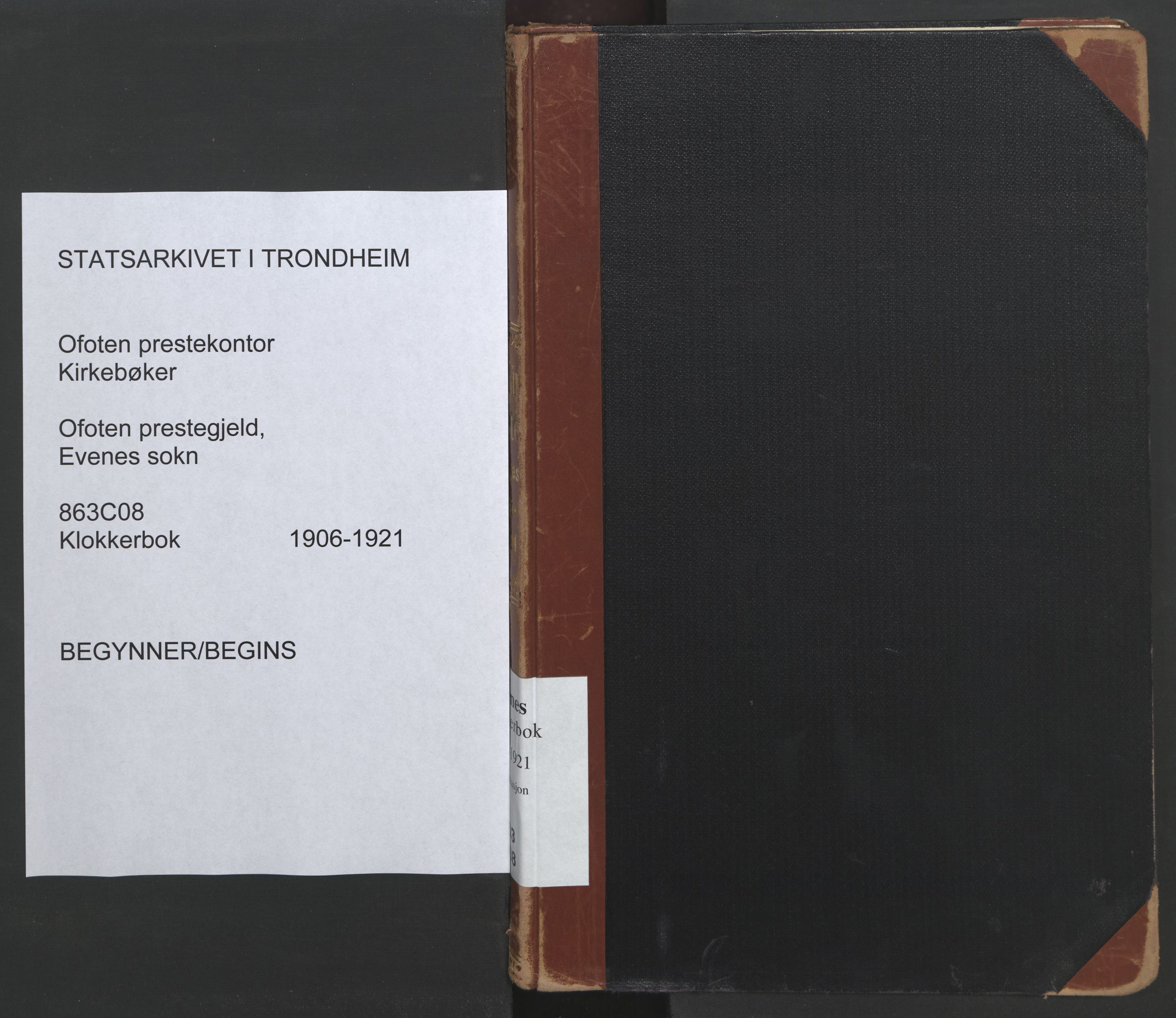 Ministerialprotokoller, klokkerbøker og fødselsregistre - Nordland, SAT/A-1459/863/L0918: Klokkerbok nr. 863C08, 1906-1921