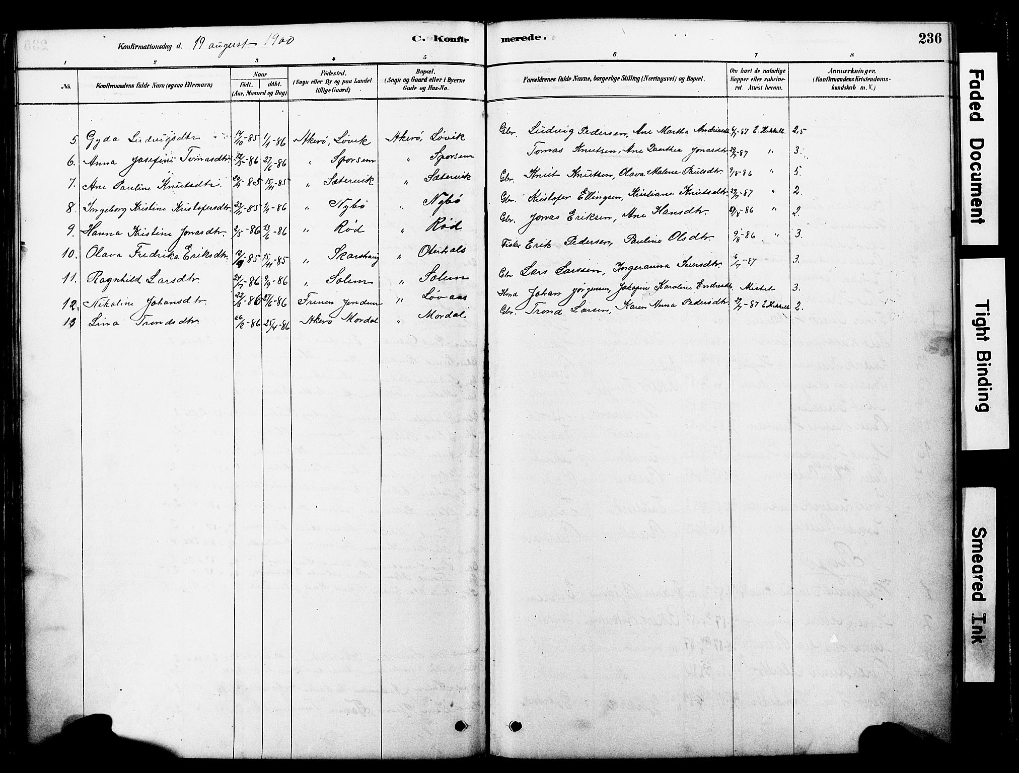 Ministerialprotokoller, klokkerbøker og fødselsregistre - Møre og Romsdal, AV/SAT-A-1454/560/L0721: Ministerialbok nr. 560A05, 1878-1917, s. 236