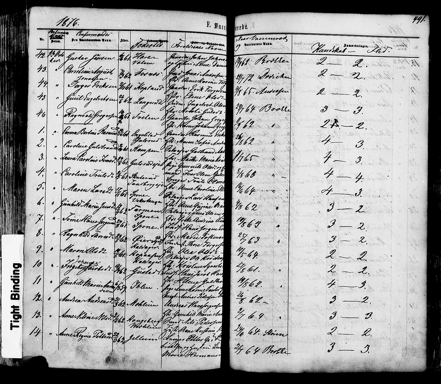 Modum kirkebøker, AV/SAKO-A-234/F/Fa/L0010: Ministerialbok nr. 10, 1865-1876, s. 491