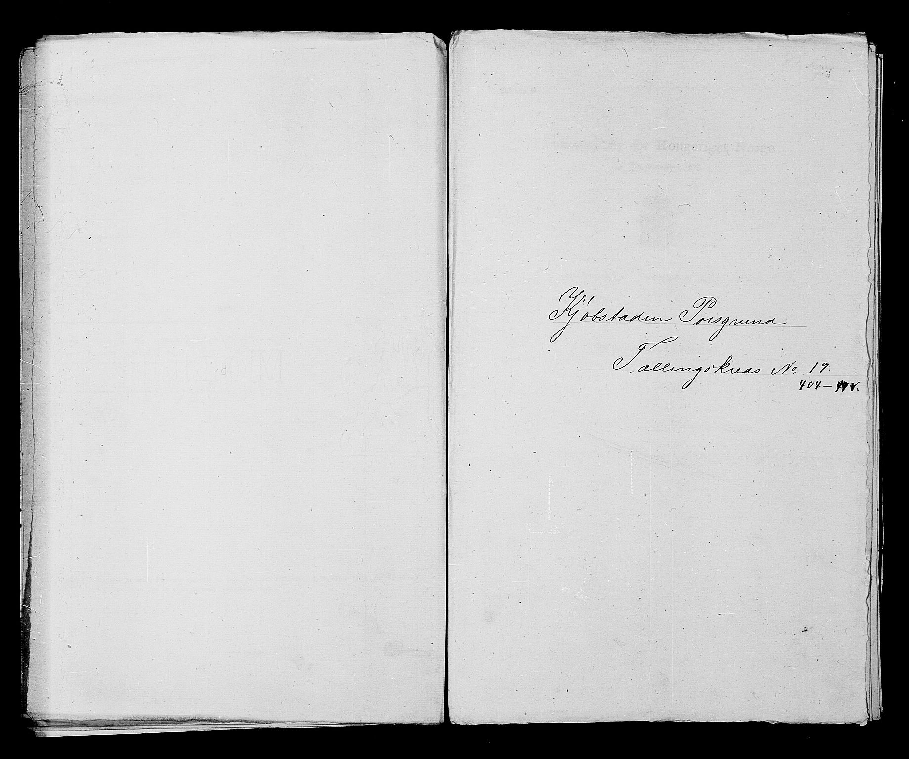 SAKO, Folketelling 1875 for 0805P Porsgrunn prestegjeld, 1875, s. 908