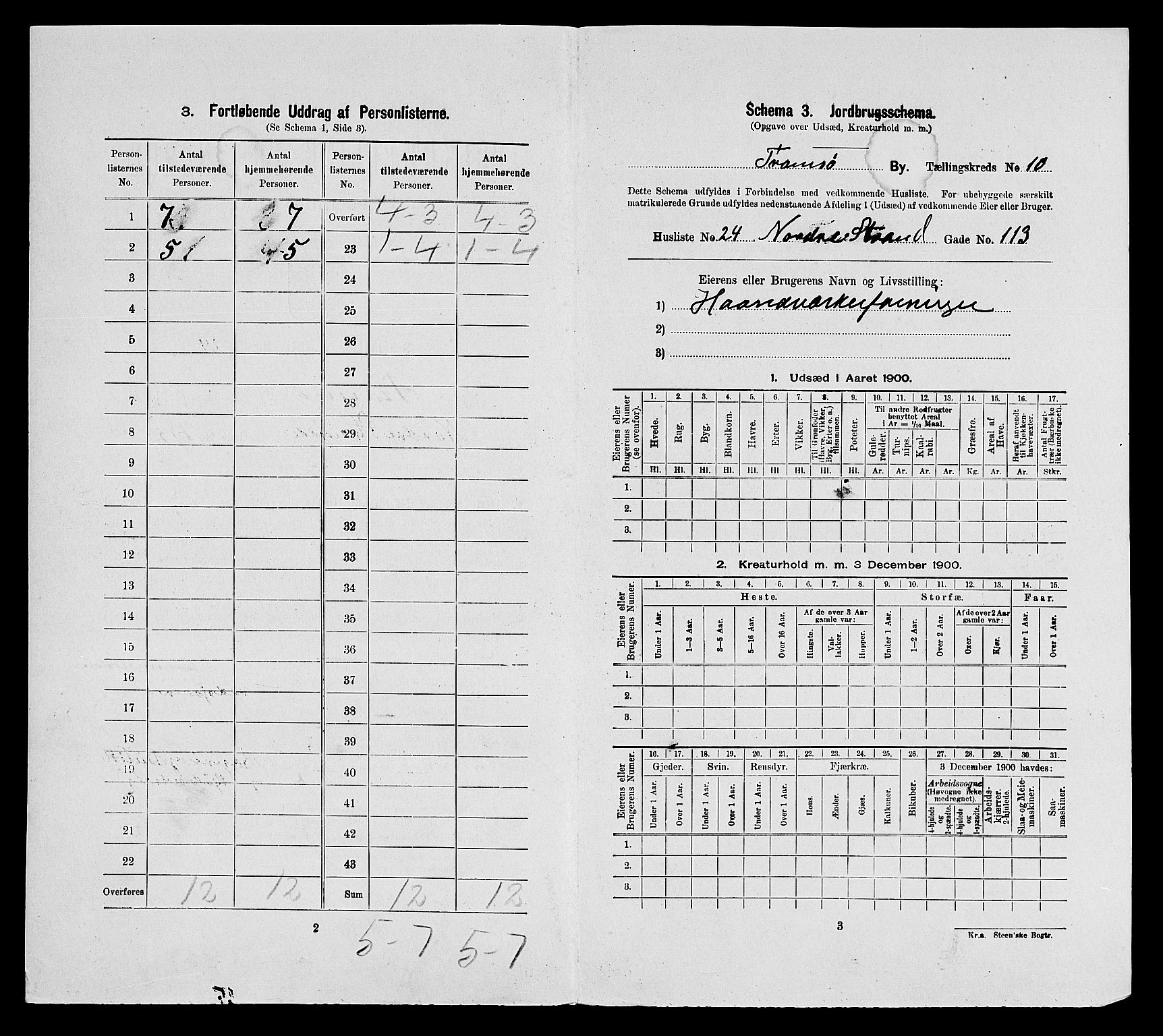 SATØ, Folketelling 1900 for 1902 Tromsø kjøpstad, 1900, s. 2919