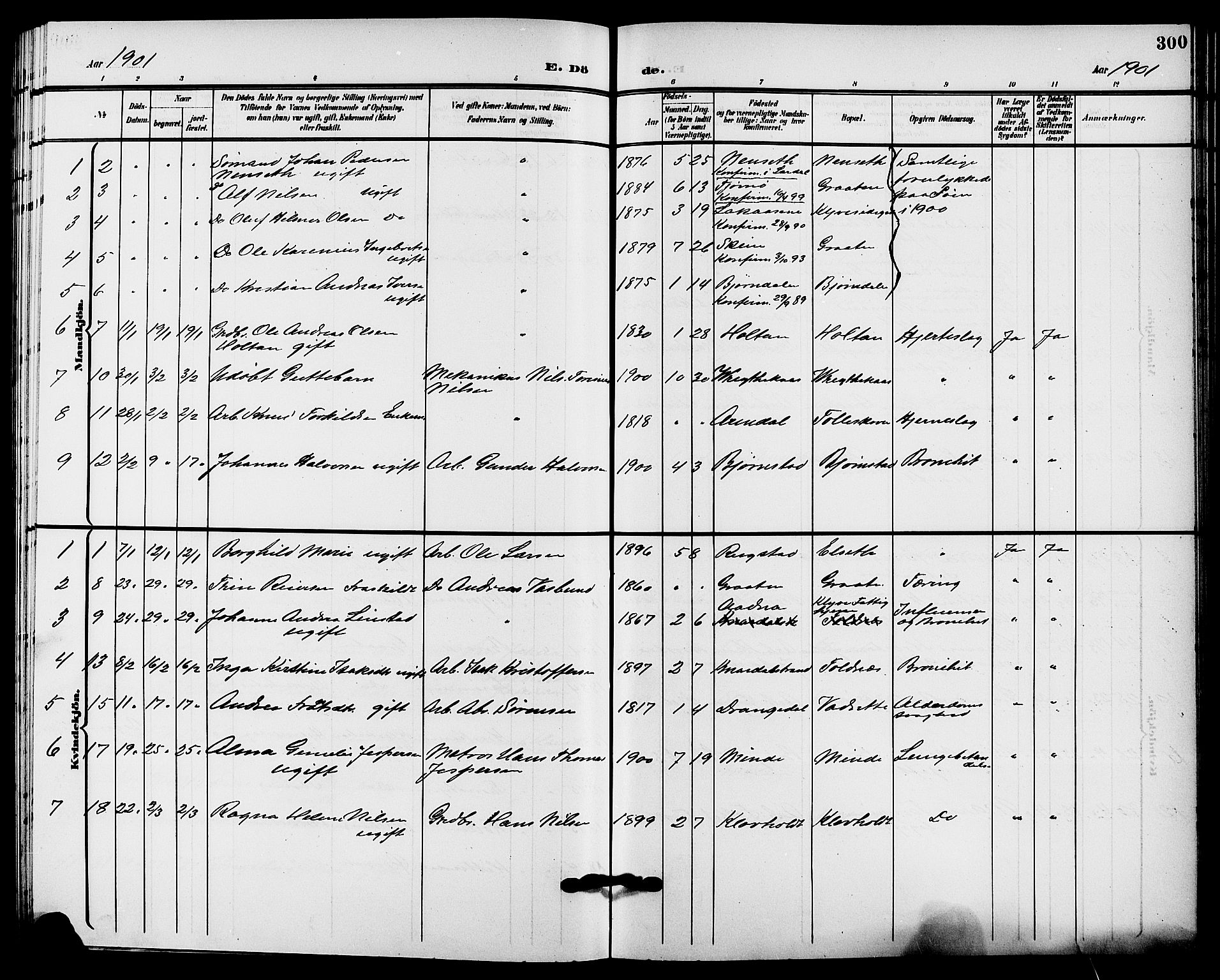 Solum kirkebøker, AV/SAKO-A-306/G/Ga/L0008: Klokkerbok nr. I 8, 1898-1909, s. 300