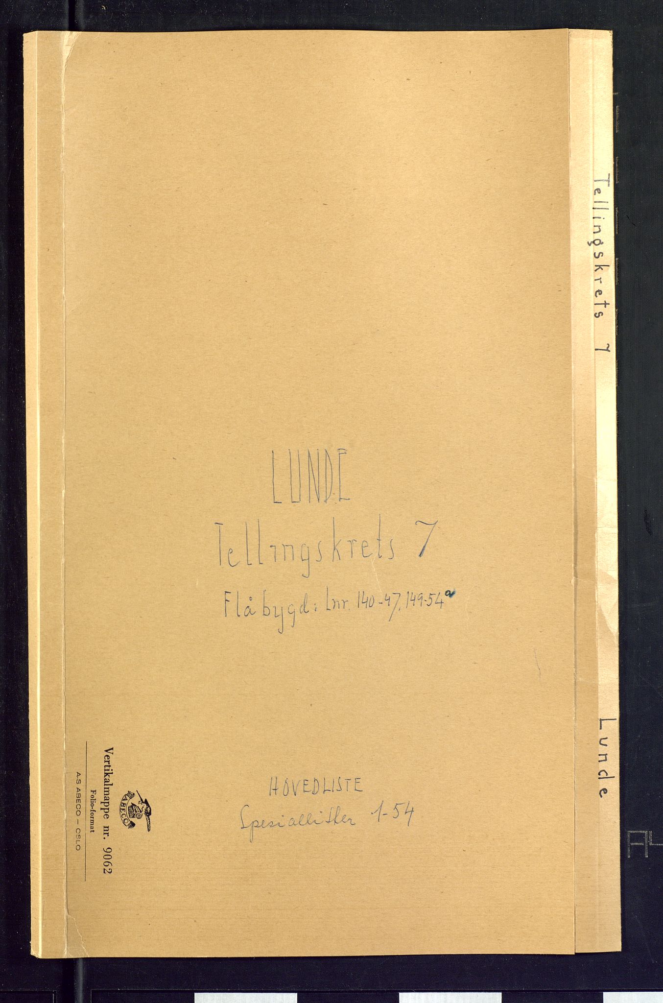 SAKO, Folketelling 1875 for 0820P Lunde prestegjeld, 1875, s. 28
