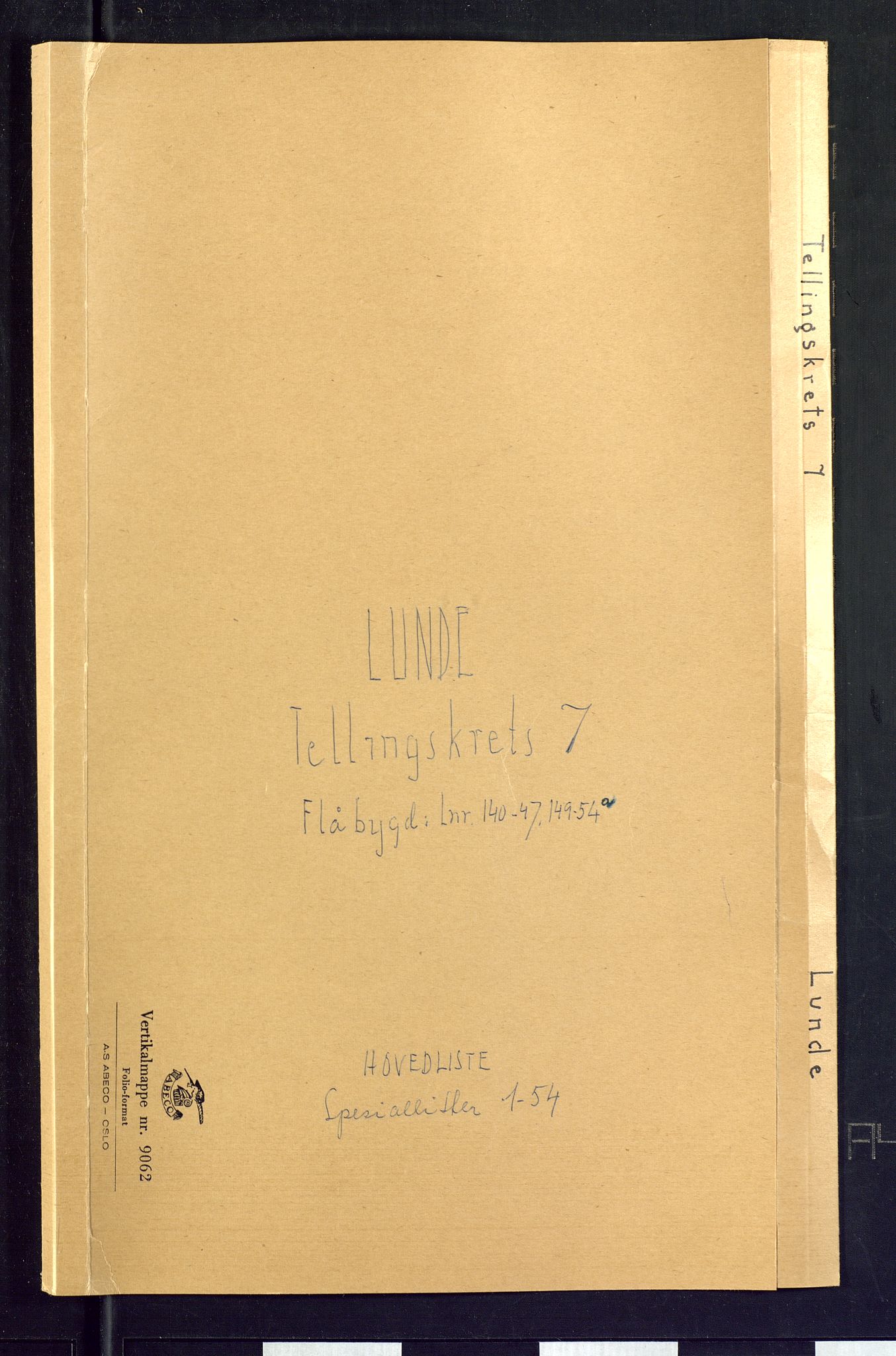 SAKO, Folketelling 1875 for 0820P Lunde prestegjeld, 1875, s. 28