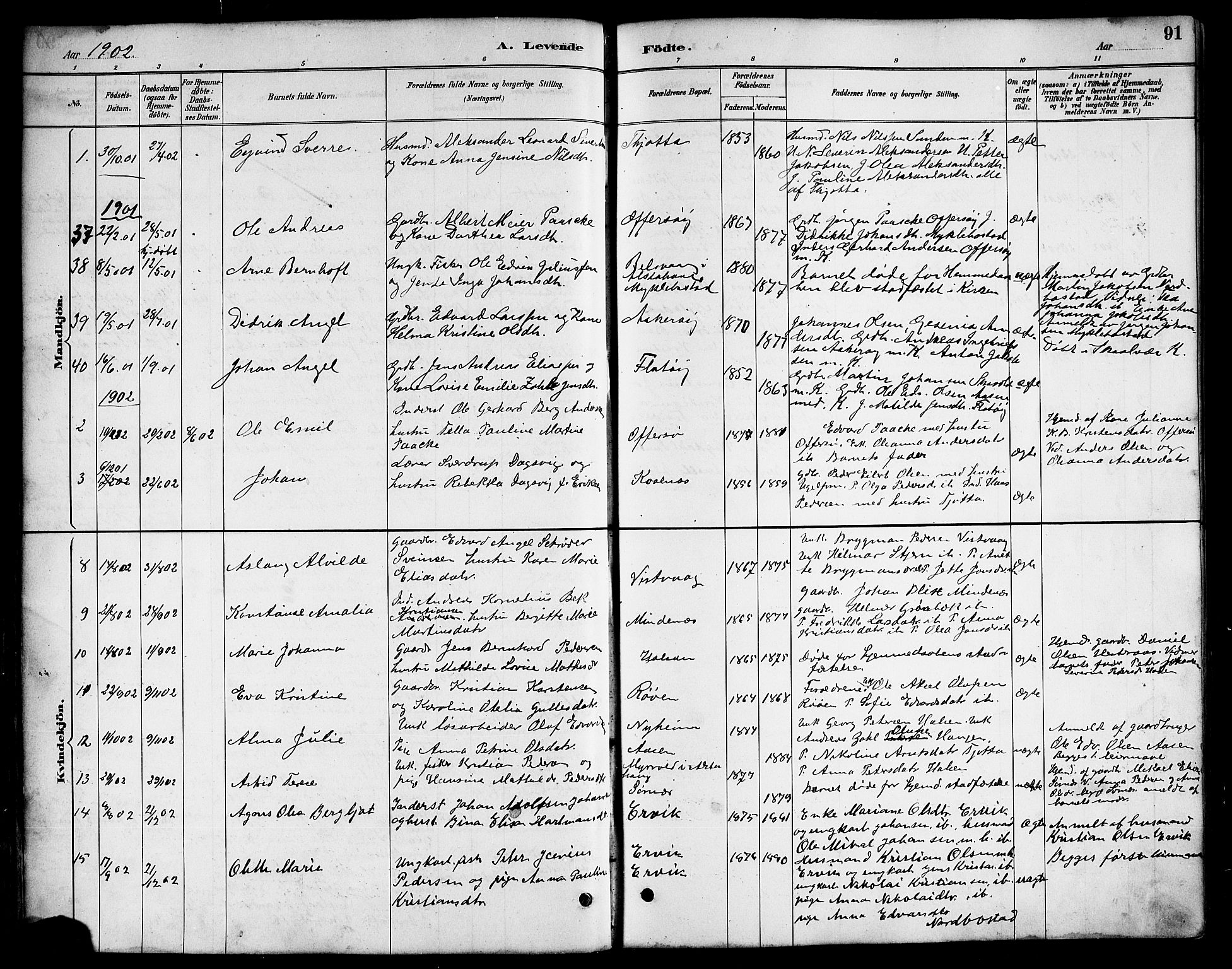 Ministerialprotokoller, klokkerbøker og fødselsregistre - Nordland, AV/SAT-A-1459/817/L0268: Klokkerbok nr. 817C03, 1884-1920, s. 91