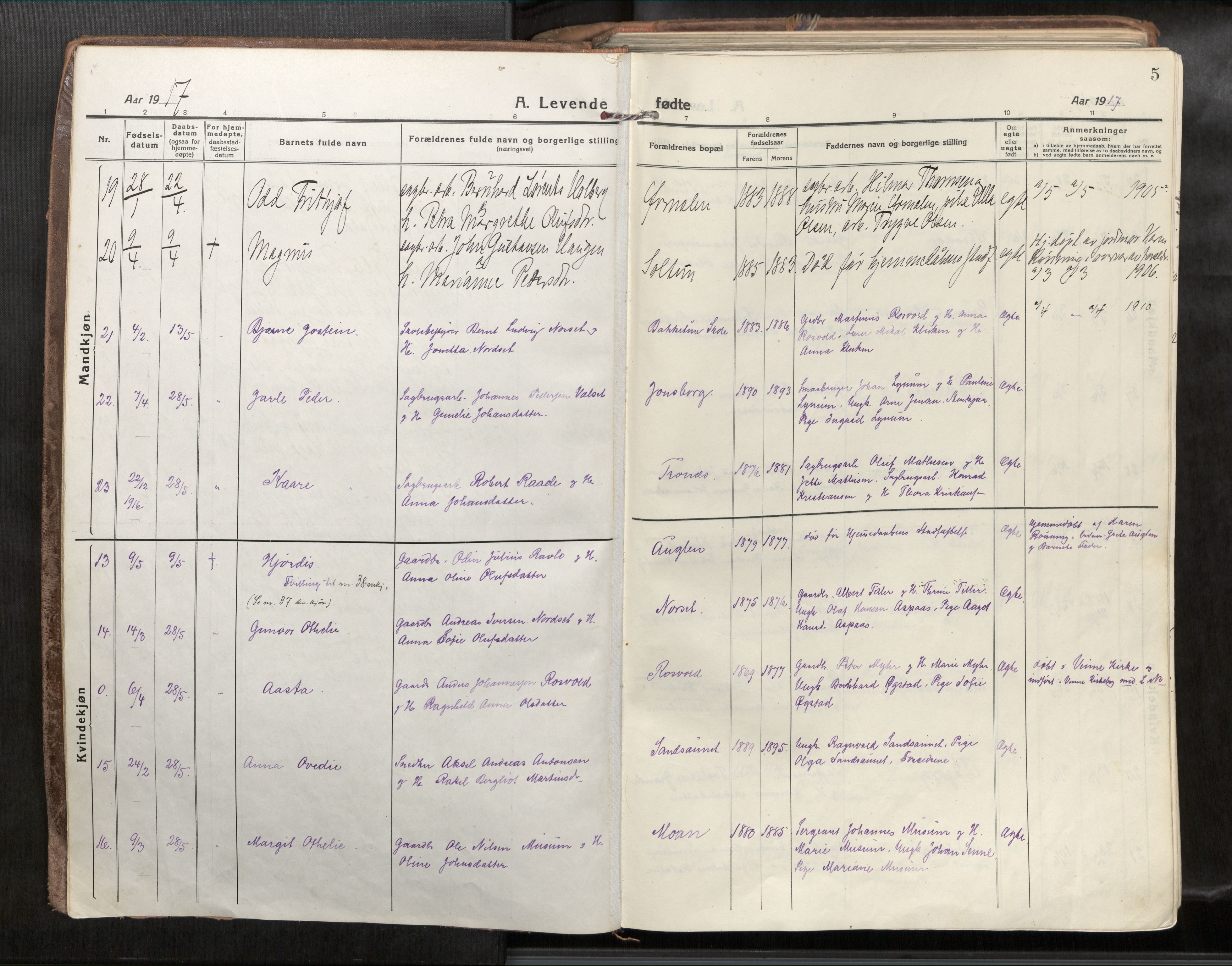 Verdal sokneprestkontor, AV/SAT-A-1156/2/H/Haa/L0001: Ministerialbok nr. 1, 1917-1932, s. 5