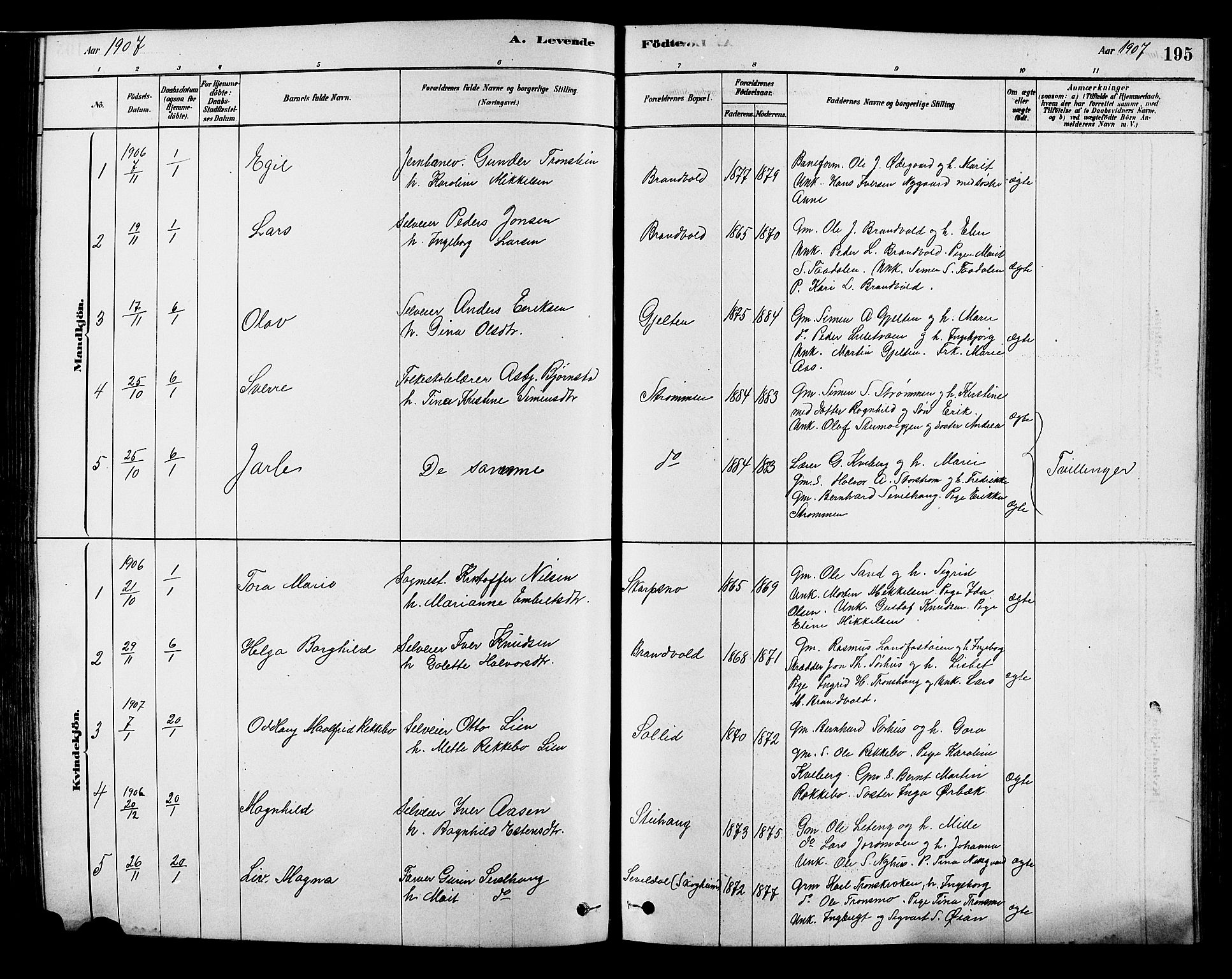 Alvdal prestekontor, AV/SAH-PREST-060/H/Ha/Hab/L0003: Klokkerbok nr. 3, 1878-1907, s. 195