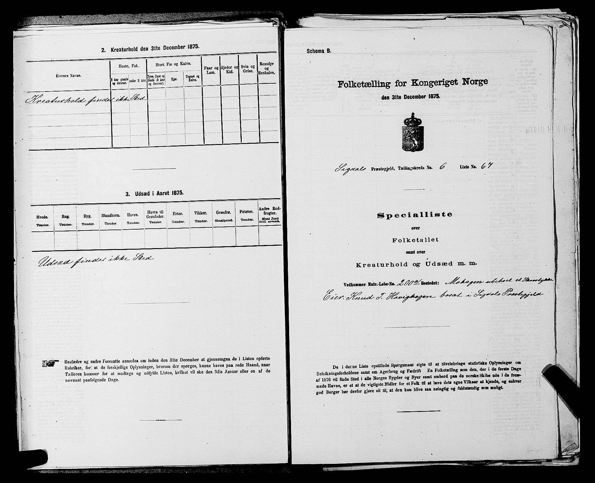 SAKO, Folketelling 1875 for 0621P Sigdal prestegjeld, 1875, s. 987