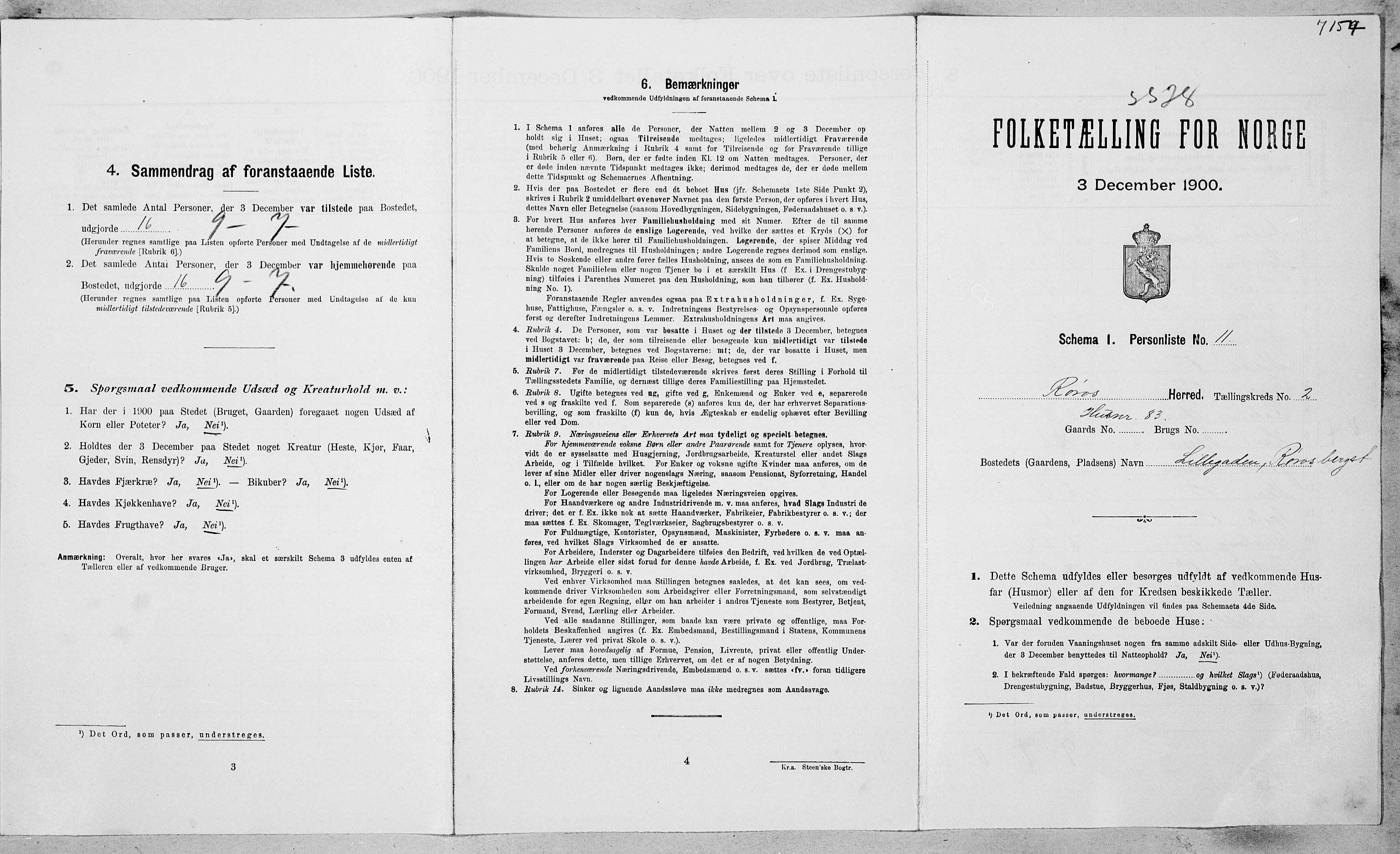 SAT, Folketelling 1900 for 1640 Røros herred, 1900, s. 166