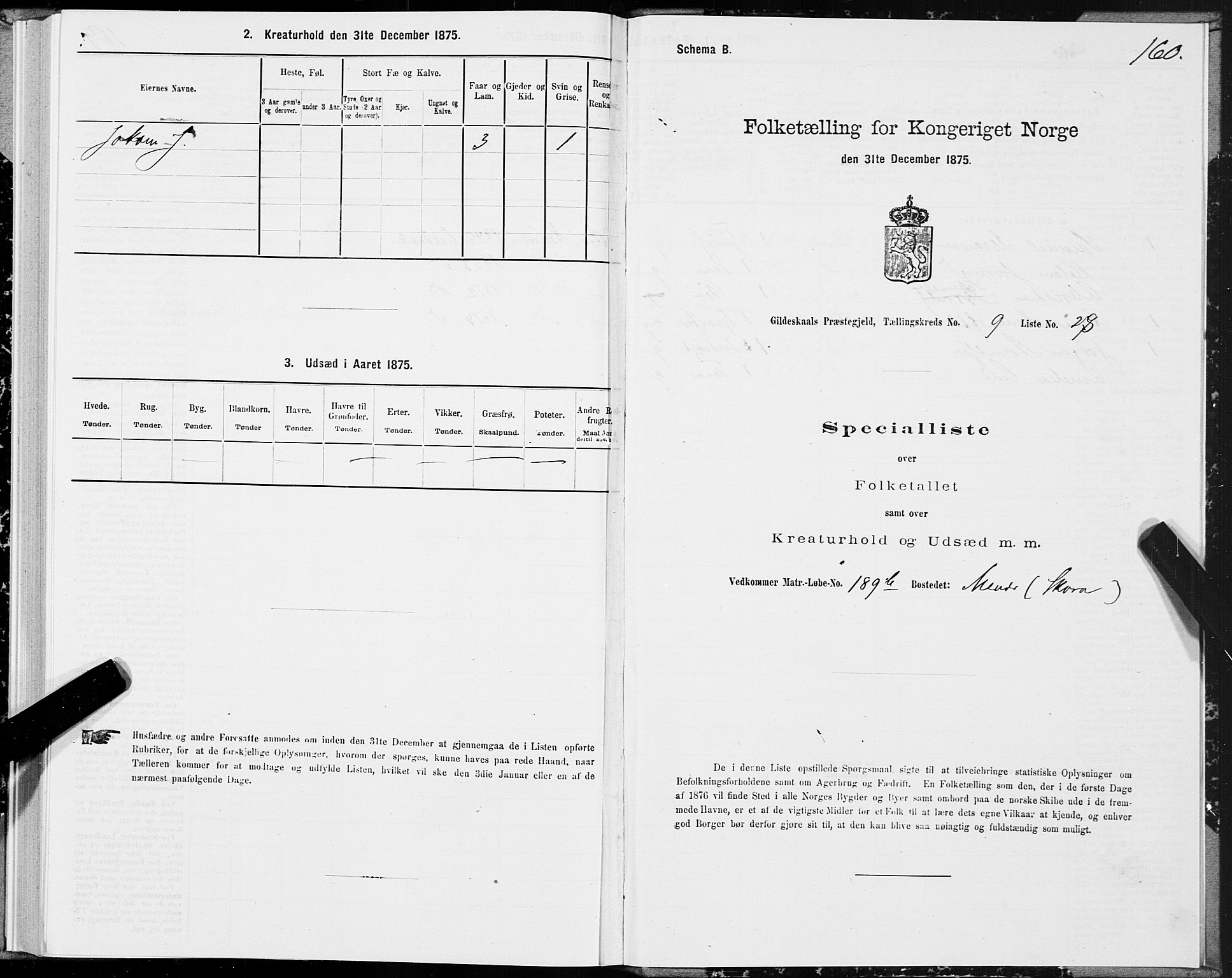 SAT, Folketelling 1875 for 1838P Gildeskål prestegjeld, 1875, s. 4160