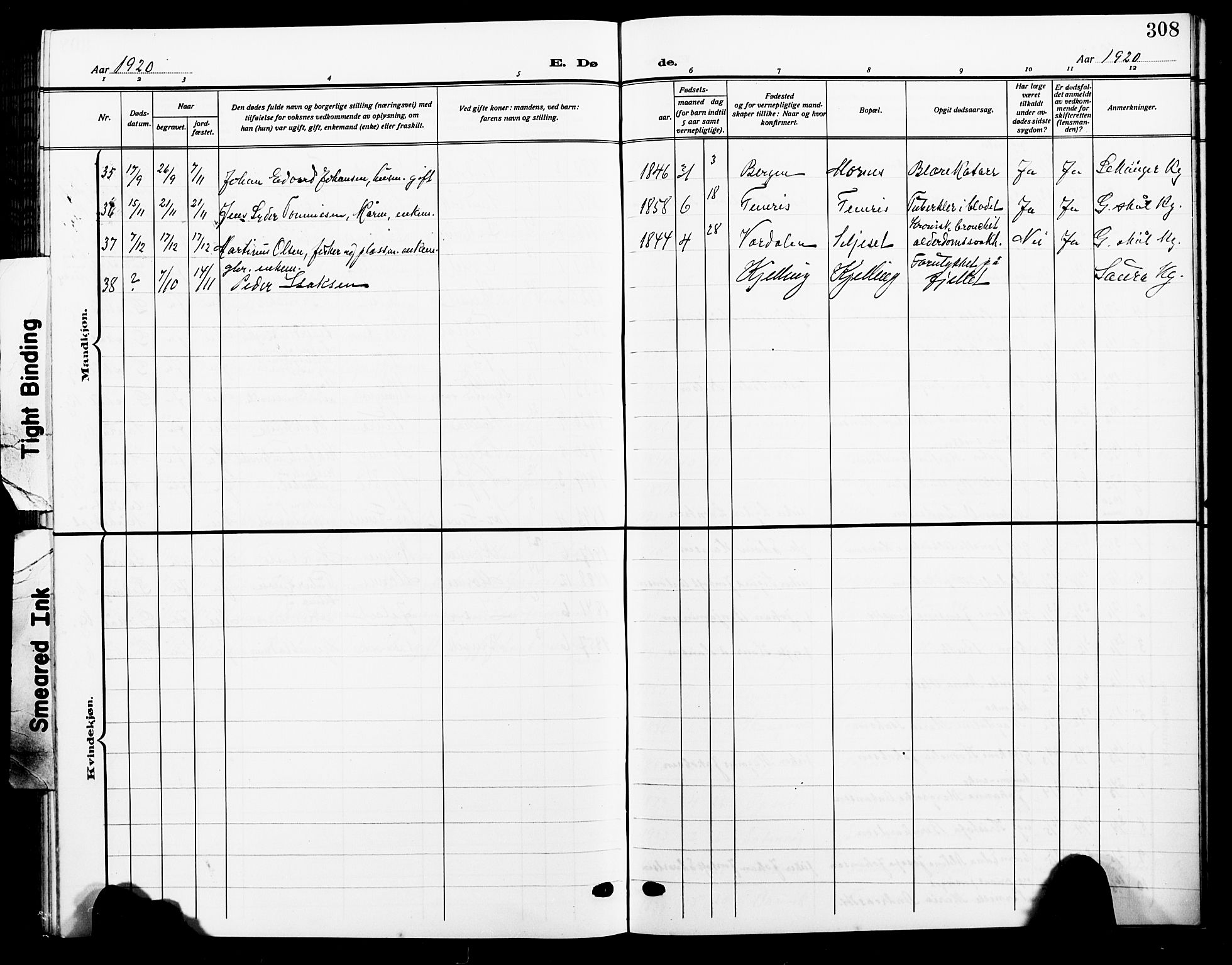 Ministerialprotokoller, klokkerbøker og fødselsregistre - Nordland, AV/SAT-A-1459/805/L0110: Klokkerbok nr. 805C06, 1909-1924, s. 308