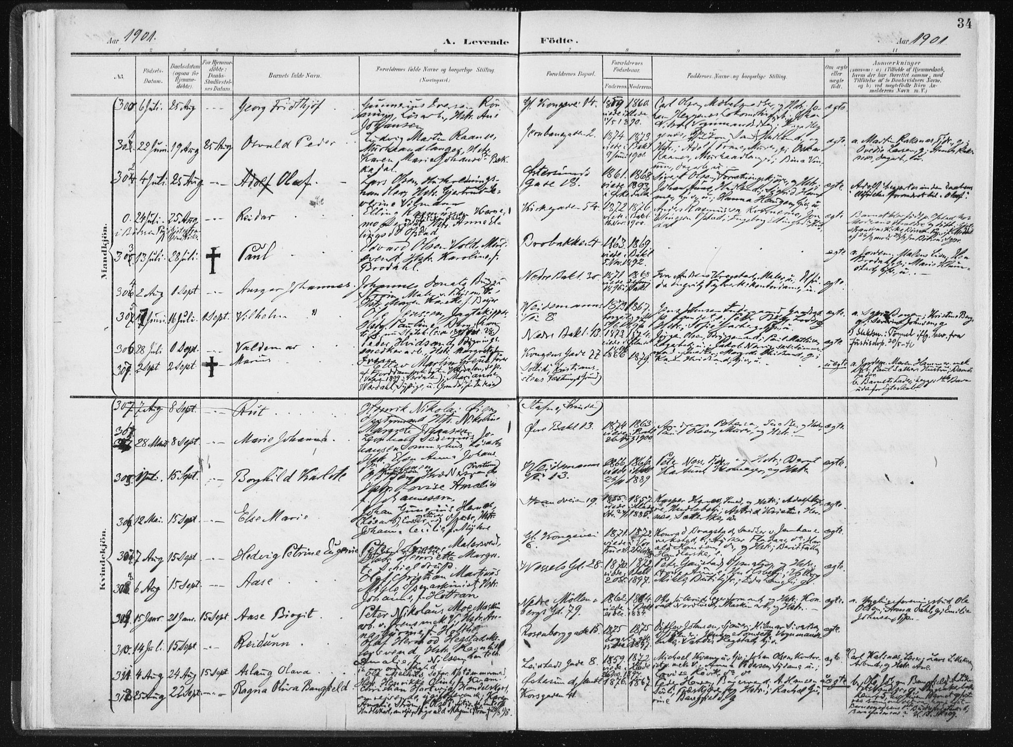 Ministerialprotokoller, klokkerbøker og fødselsregistre - Sør-Trøndelag, SAT/A-1456/604/L0199: Ministerialbok nr. 604A20I, 1901-1906, s. 34