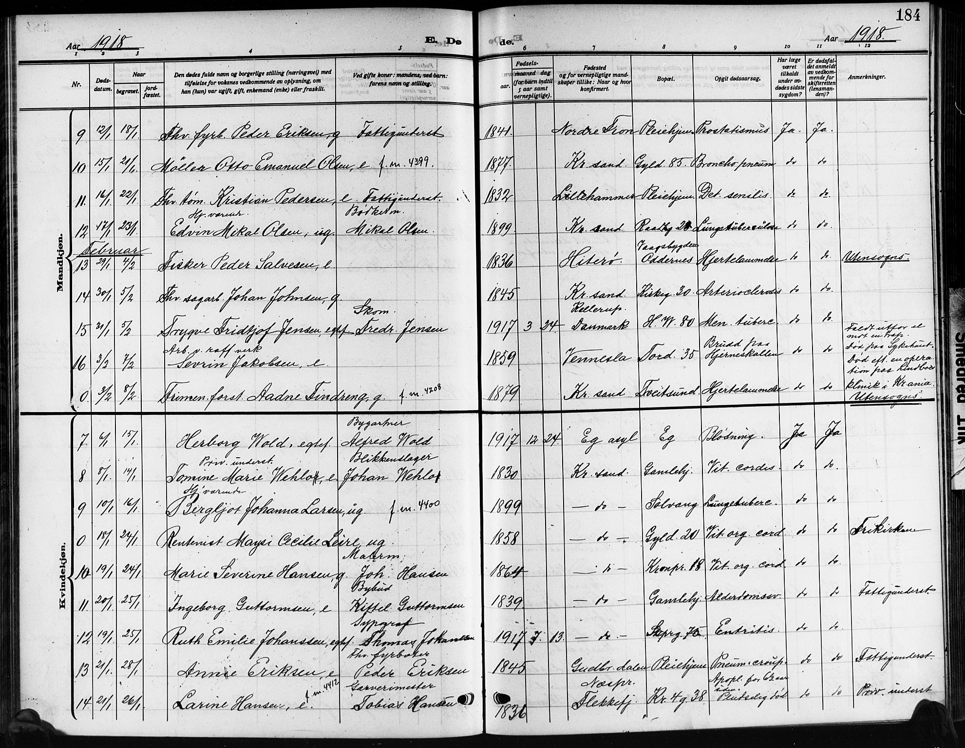 Kristiansand domprosti, AV/SAK-1112-0006/F/Fb/L0022: Klokkerbok nr. B 22, 1915-1925, s. 184