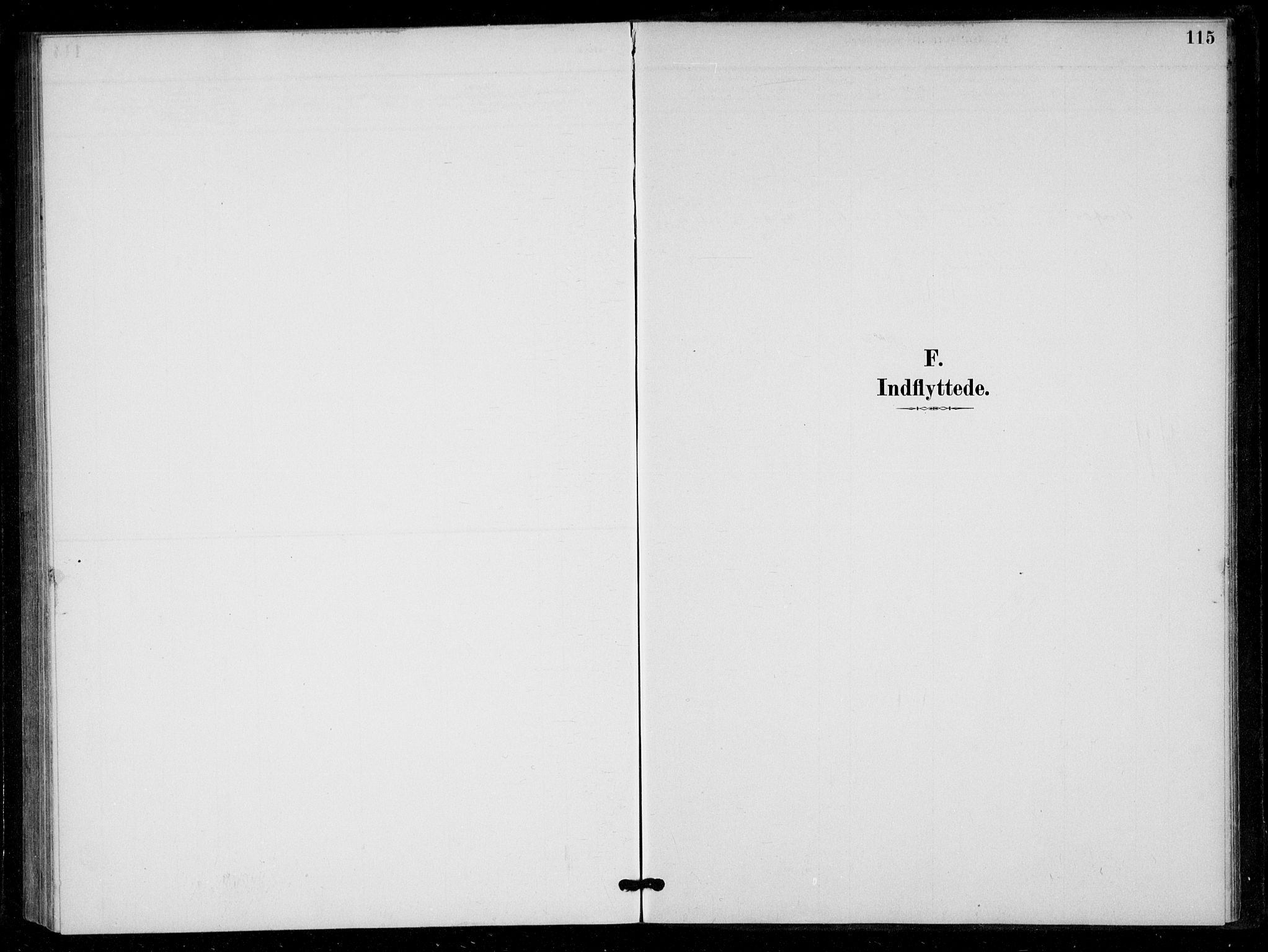 Bygland sokneprestkontor, SAK/1111-0006/F/Fa/Fad/L0001: Ministerialbok nr. A 1, 1885-1906, s. 110