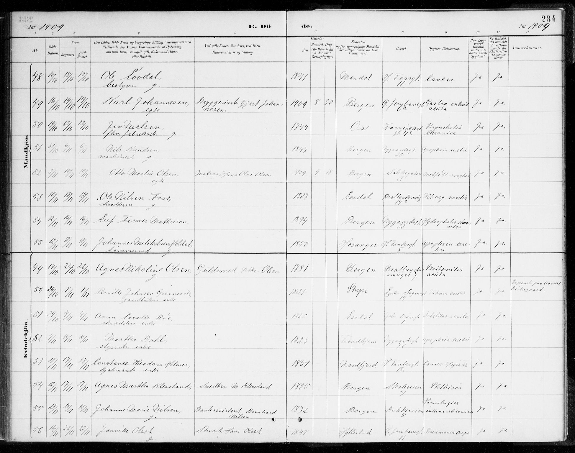 Johanneskirken sokneprestembete, AV/SAB-A-76001/H/Haa/L0019: Ministerialbok nr. E 1, 1885-1915, s. 234