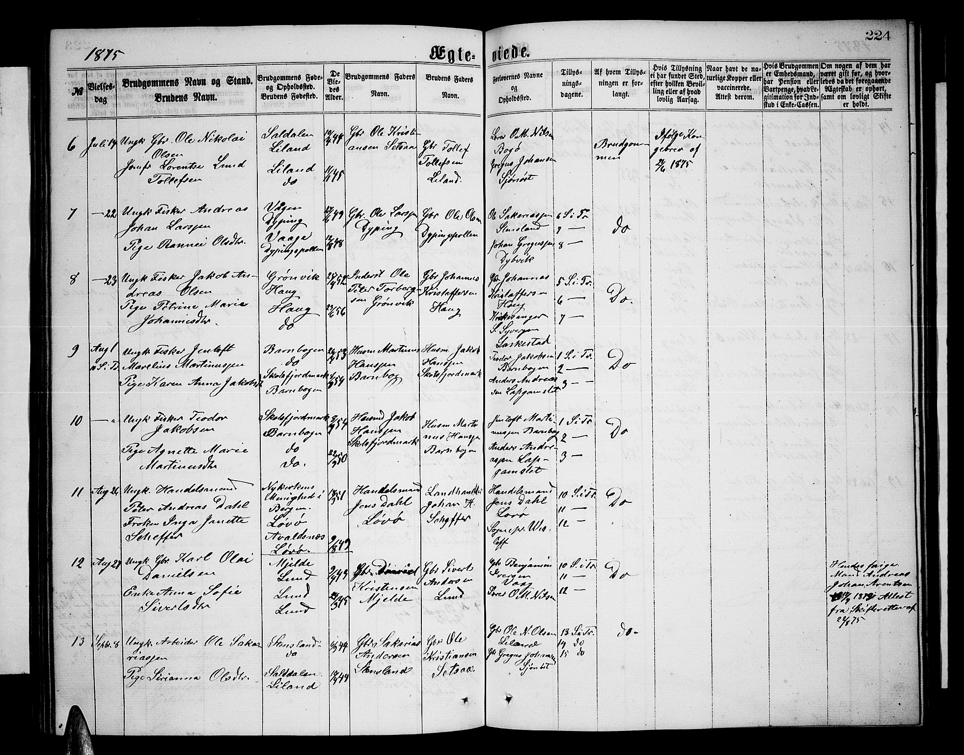 Ministerialprotokoller, klokkerbøker og fødselsregistre - Nordland, AV/SAT-A-1459/855/L0815: Klokkerbok nr. 855C04, 1865-1878, s. 224