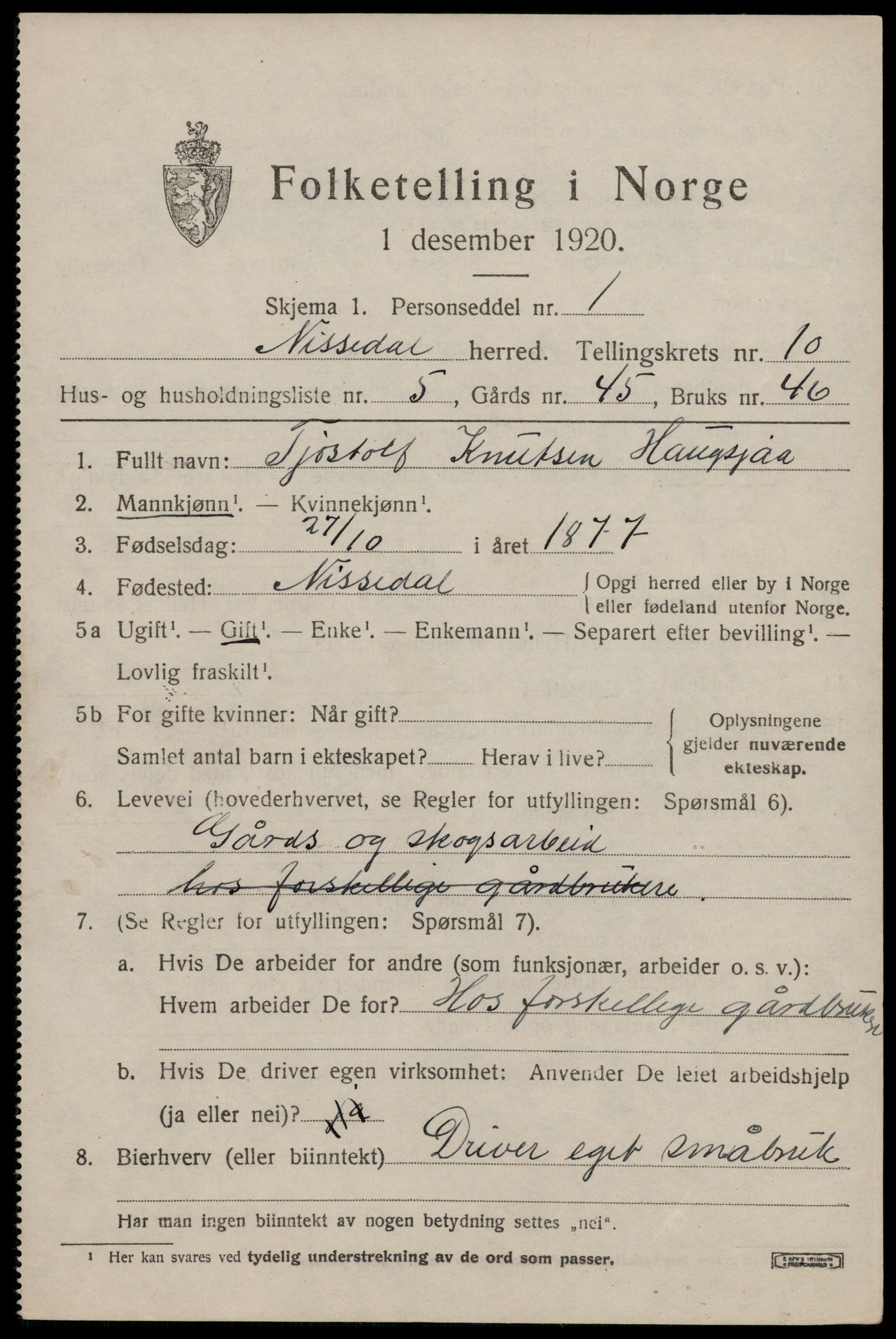SAKO, Folketelling 1920 for 0830 Nissedal herred, 1920, s. 3917