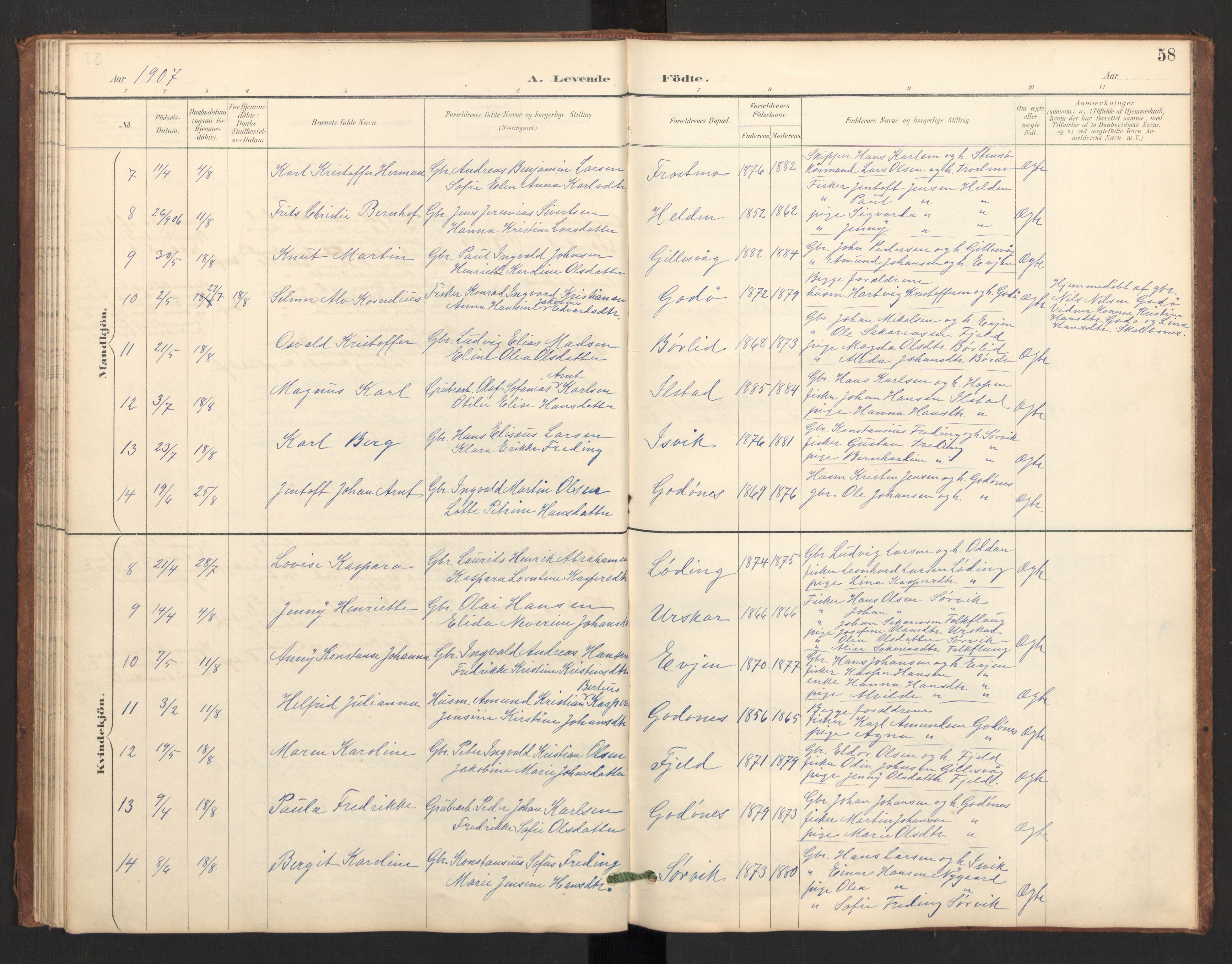 Ministerialprotokoller, klokkerbøker og fødselsregistre - Nordland, SAT/A-1459/804/L0087: Ministerialbok nr. 804A08, 1894-1907, s. 58