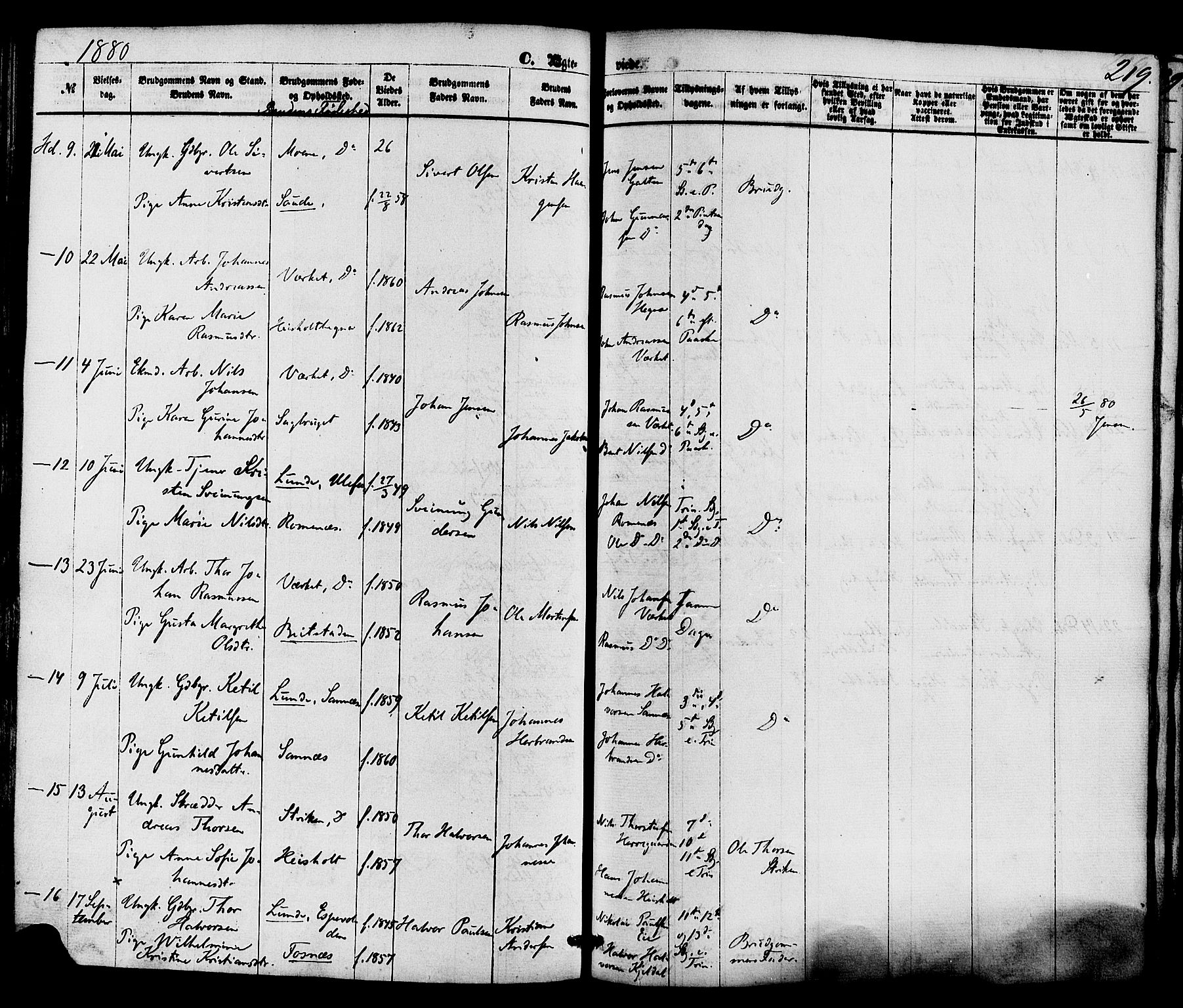 Holla kirkebøker, AV/SAKO-A-272/F/Fa/L0007: Ministerialbok nr. 7, 1869-1881, s. 219