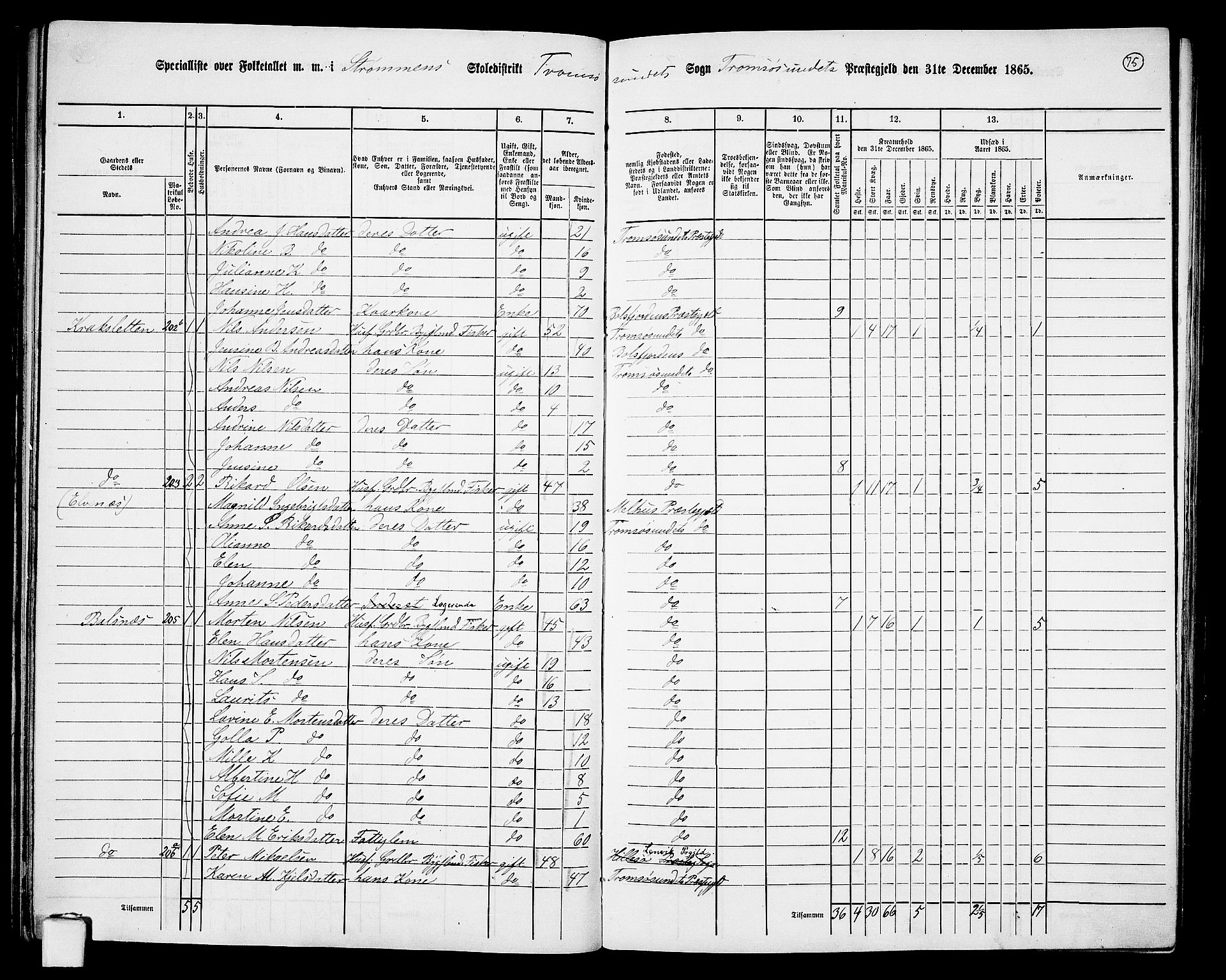 RA, Folketelling 1865 for 1934P Tromsøysund prestegjeld, 1865, s. 64