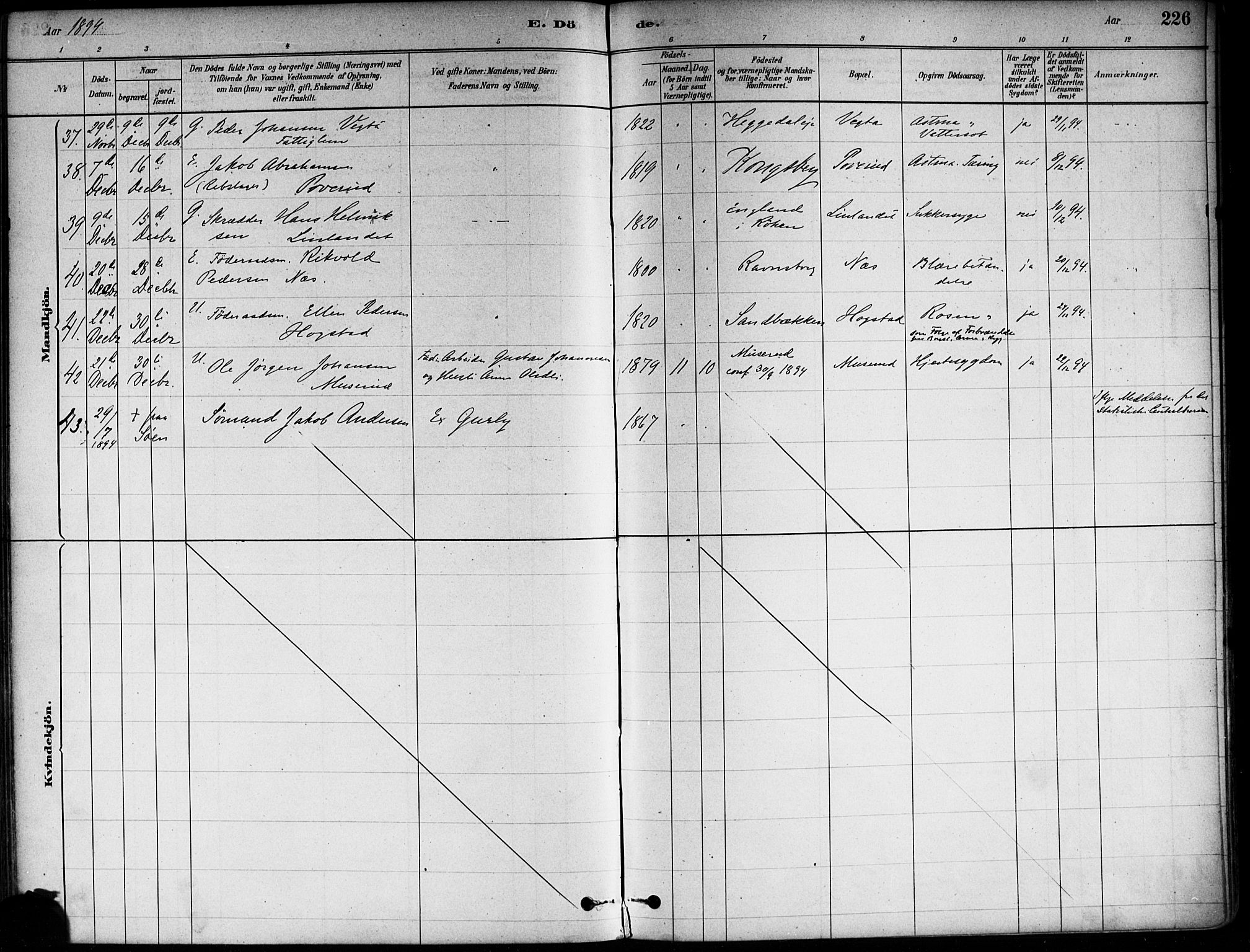 Asker prestekontor Kirkebøker, SAO/A-10256a/F/Fa/L0013: Ministerialbok nr. I 13, 1879-1896, s. 226