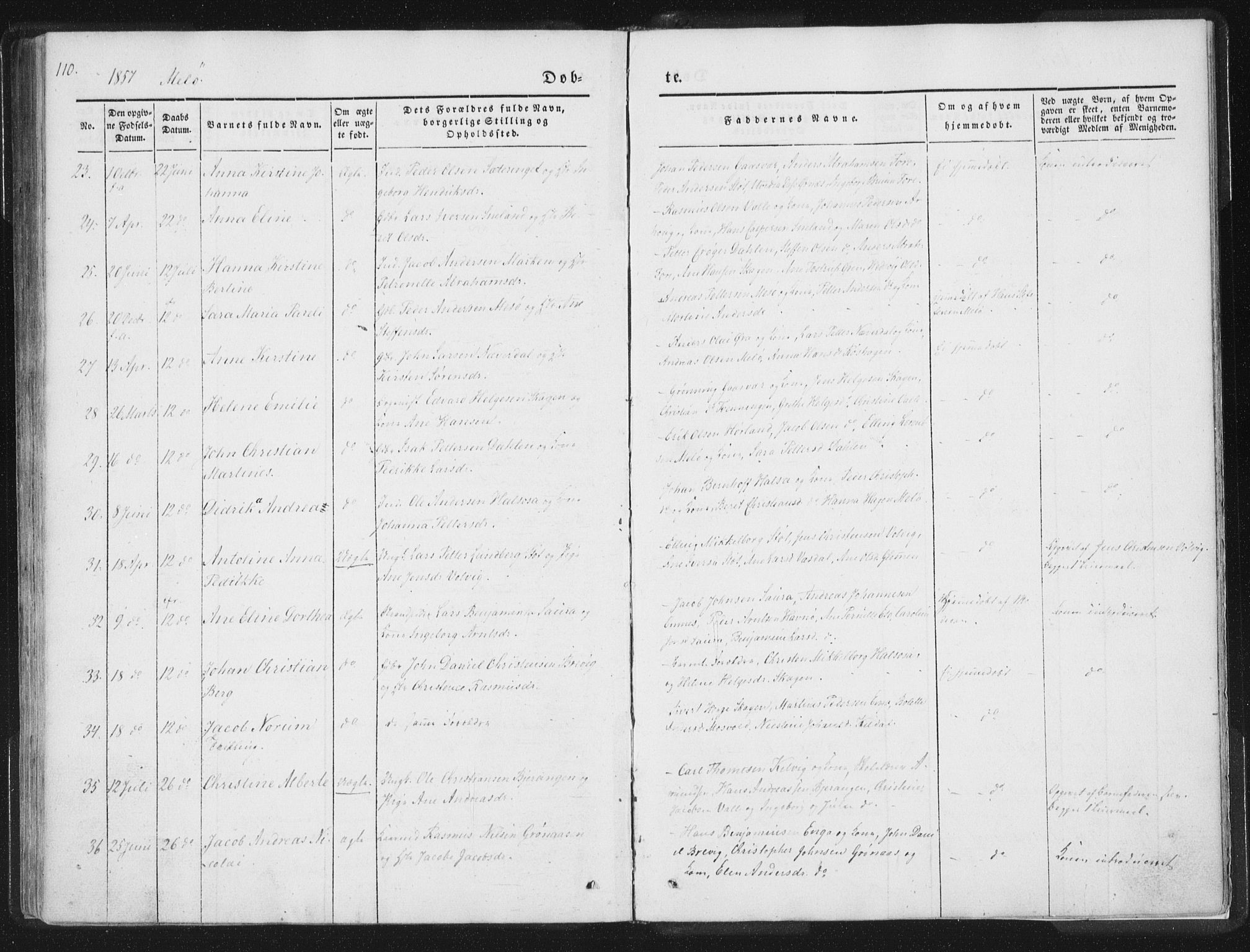 Ministerialprotokoller, klokkerbøker og fødselsregistre - Nordland, SAT/A-1459/841/L0602: Ministerialbok nr. 841A08 /2, 1845-1859, s. 110
