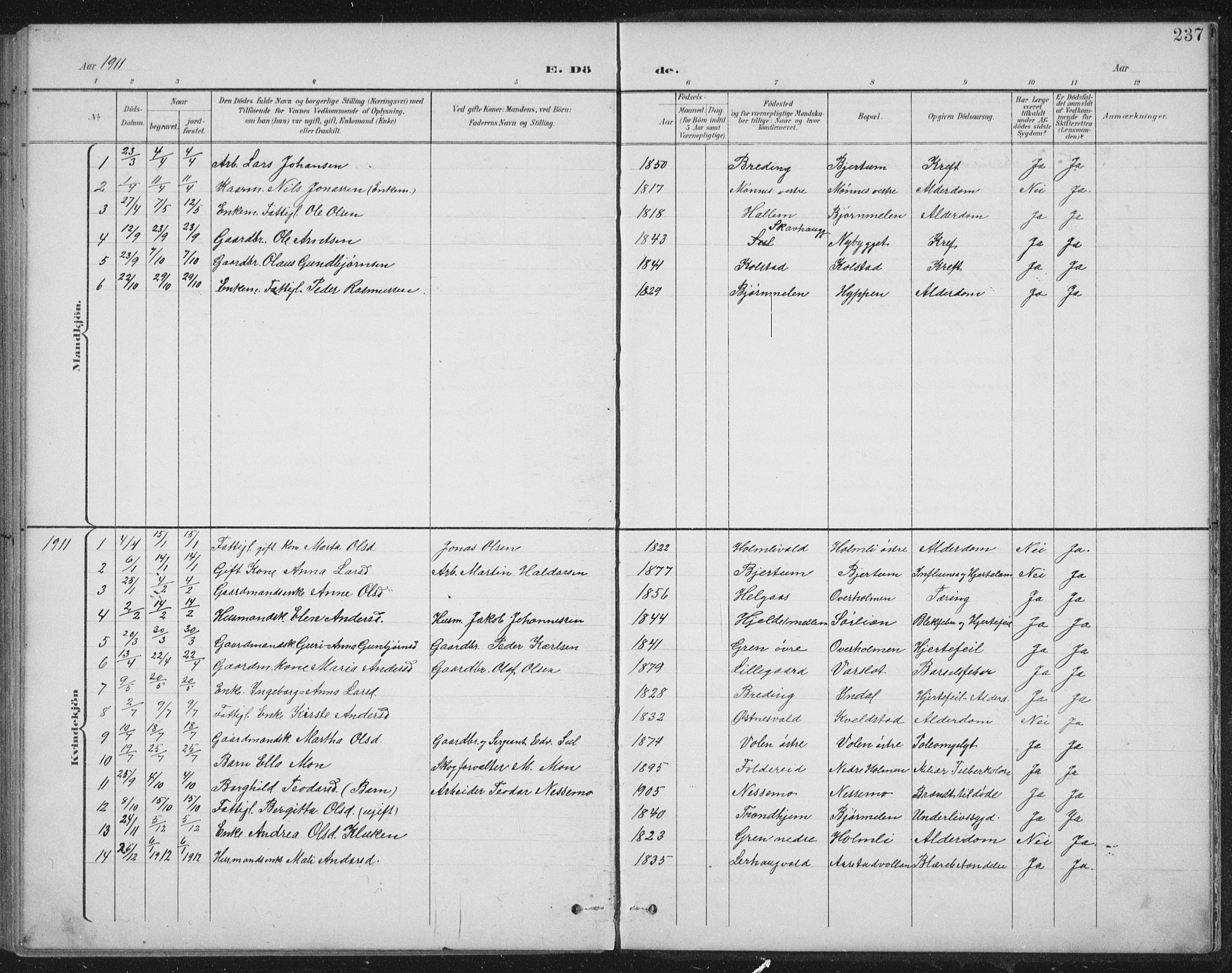 Ministerialprotokoller, klokkerbøker og fødselsregistre - Nord-Trøndelag, AV/SAT-A-1458/724/L0269: Klokkerbok nr. 724C05, 1899-1920, s. 237