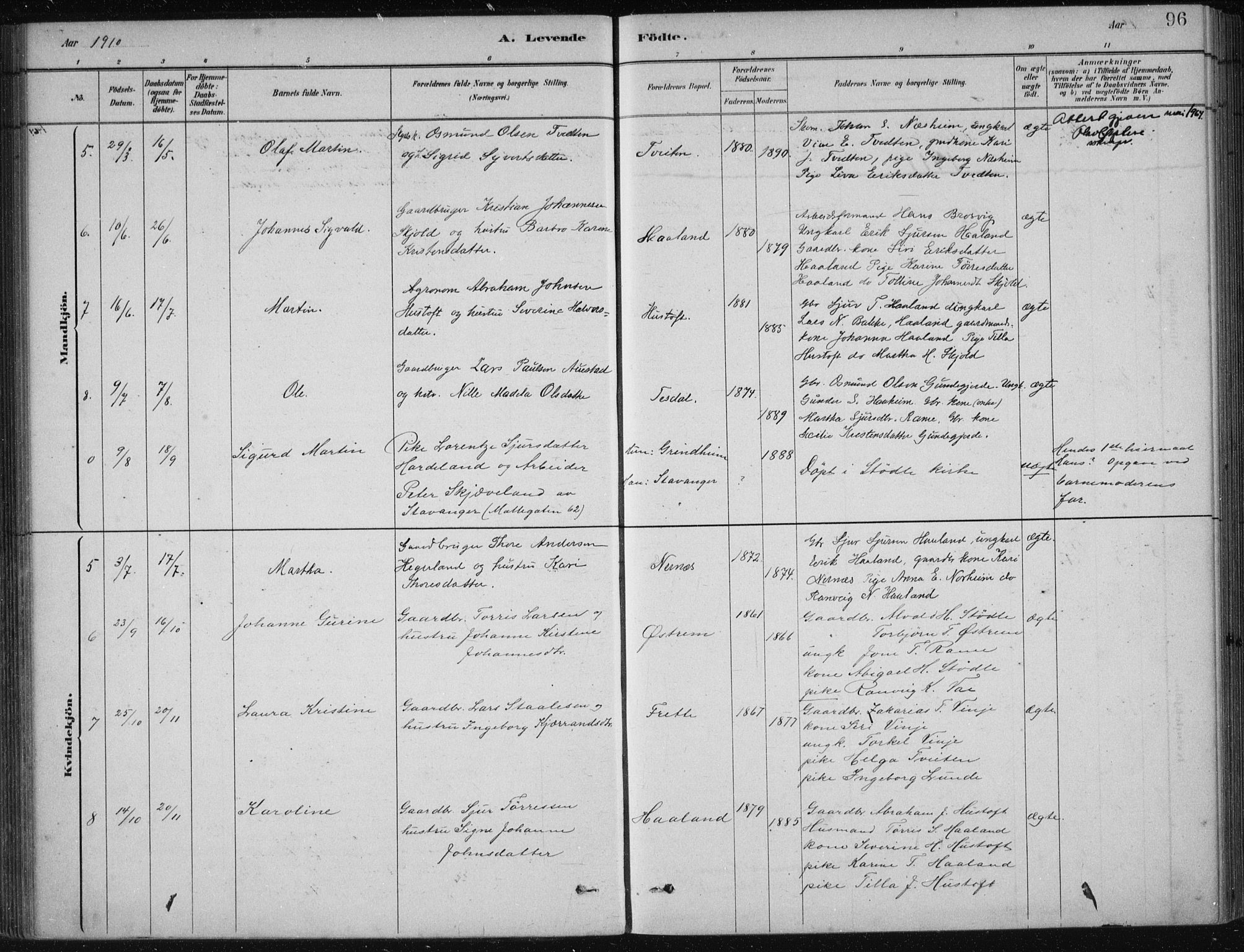 Etne sokneprestembete, AV/SAB-A-75001/H/Haa: Ministerialbok nr. D  1, 1879-1919, s. 96